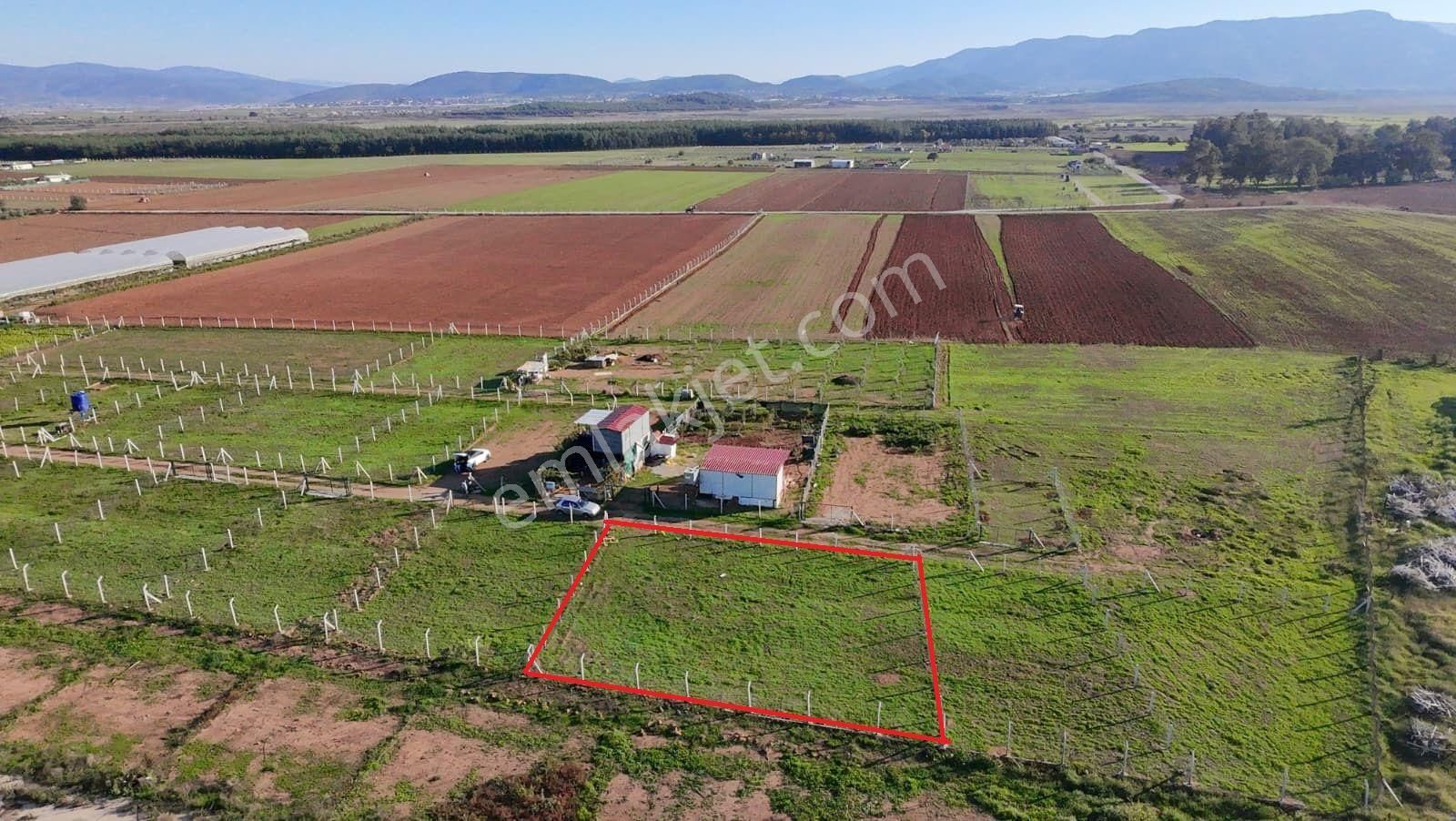 Menderes Develi'de Tapudan Satış 520 M2 Satılık Parselli Tarla - Görsel 9