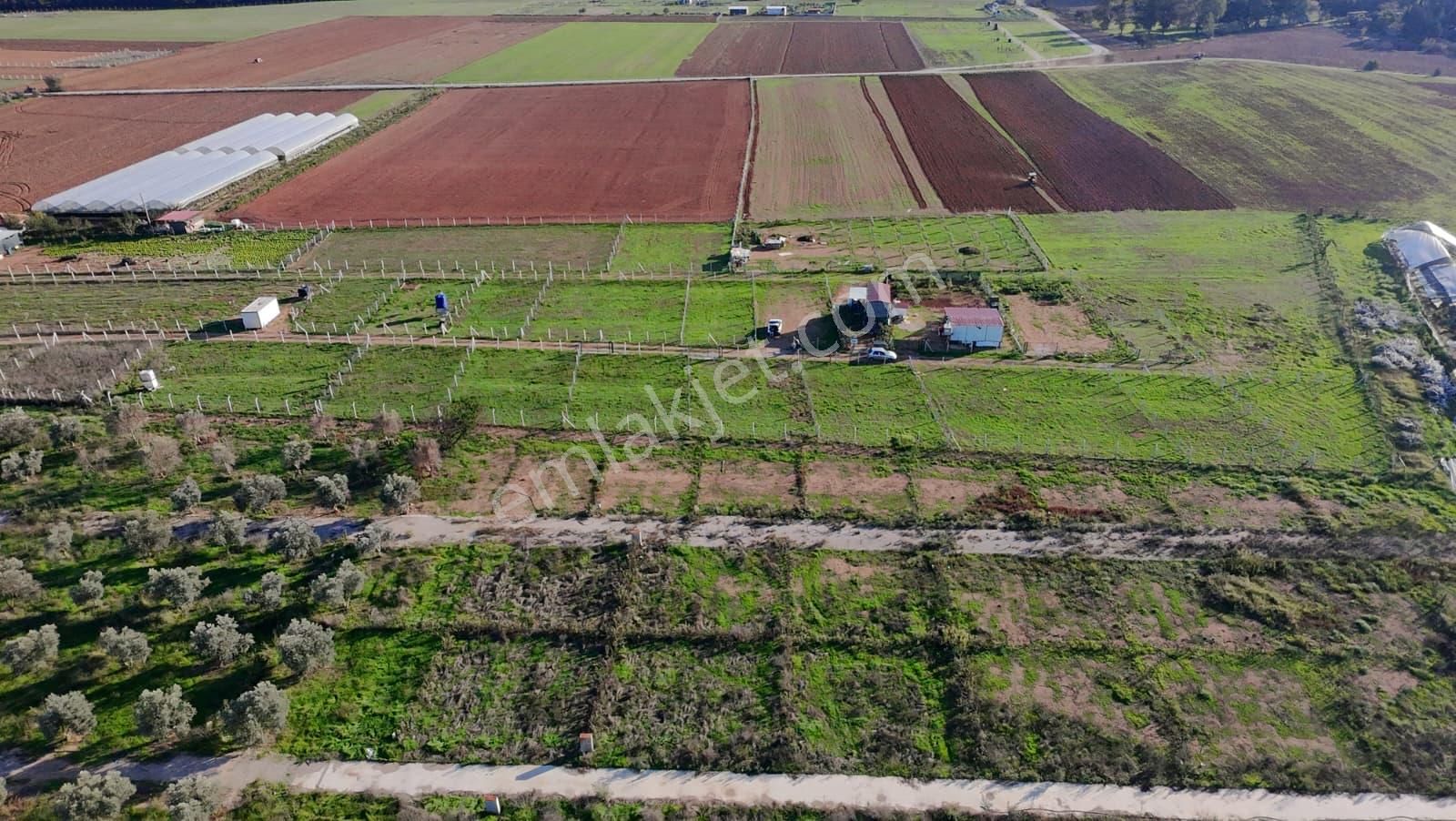 Menderes Develi'de Tapudan Satış 520 M2 Satılık Parselli Tarla - Görsel 18