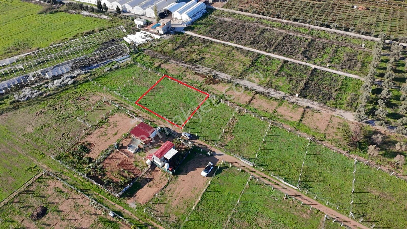 Menderes Develi'de Tapudan Satış 520 M2 Satılık Parselli Tarla - Görsel 3