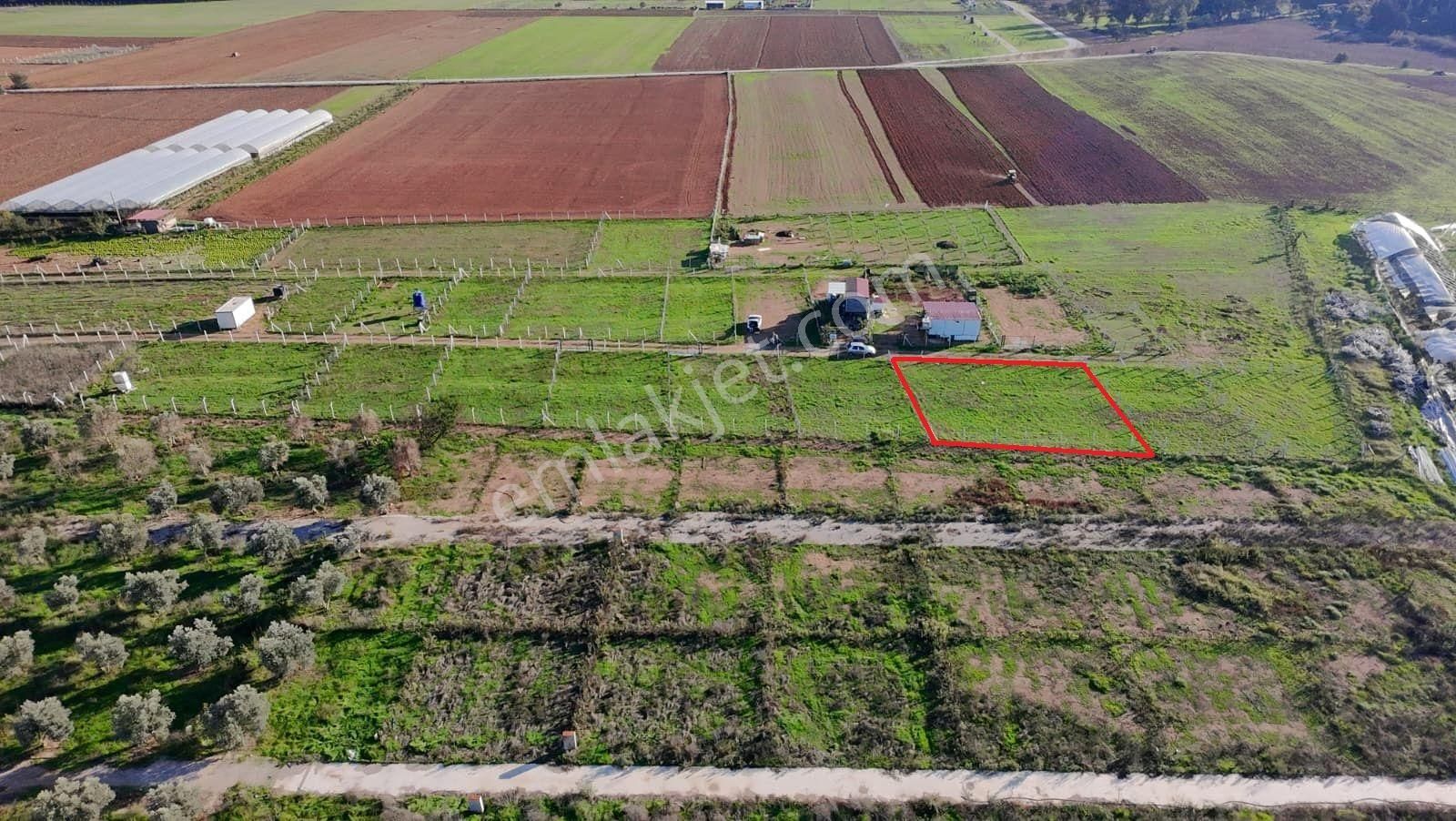 Menderes Develi'de Tapudan Satış 520 M2 Satılık Parselli Tarla - Görsel 8