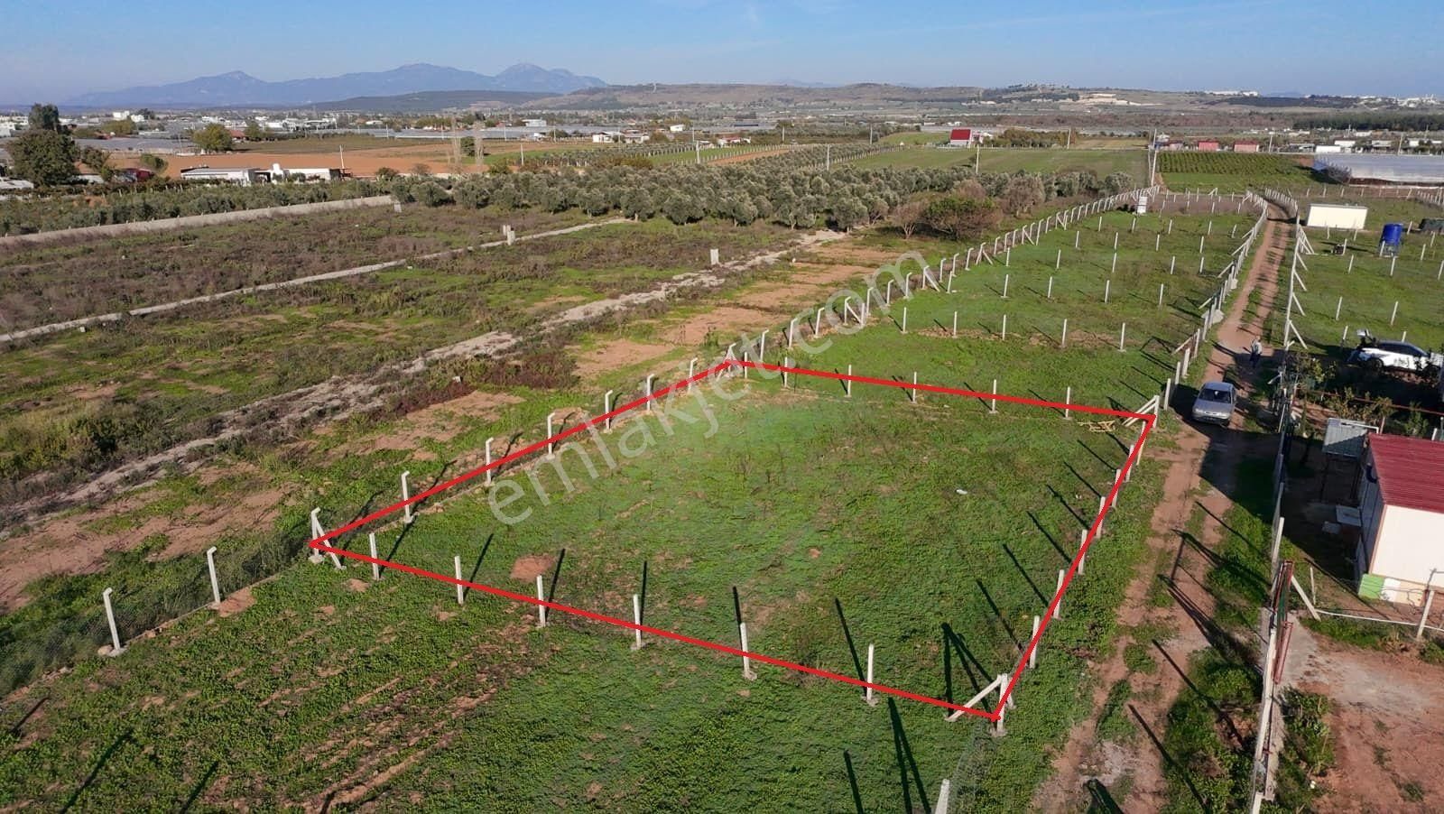 Menderes Develi'de Tapudan Satış 520 M2 Satılık Parselli Tarla - Görsel 10