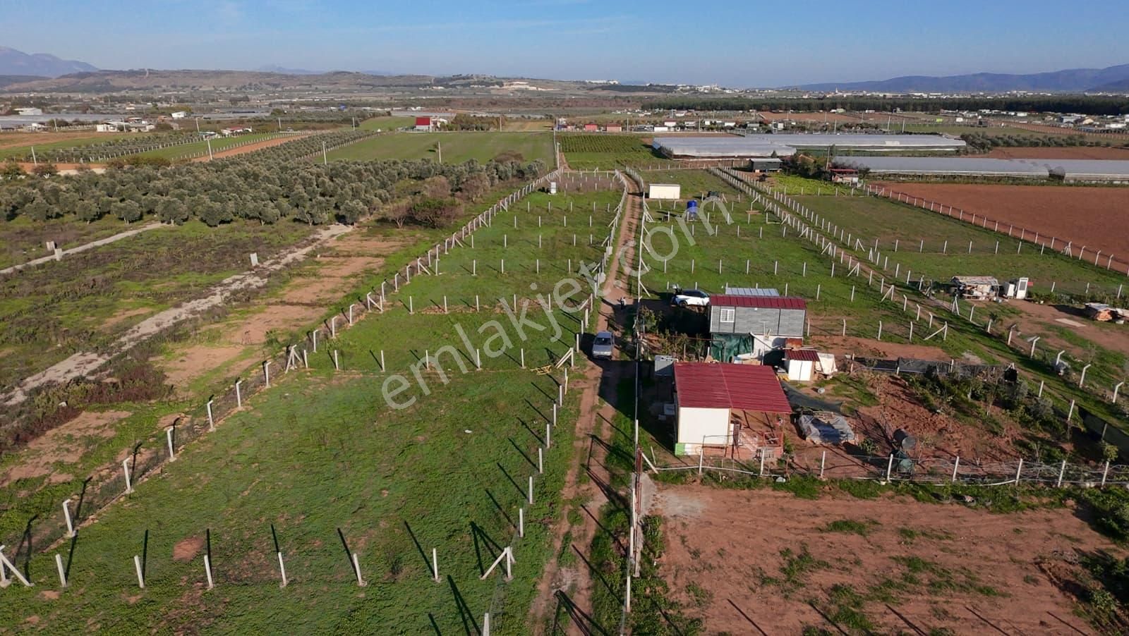 Menderes Develi'de Tapudan Satış 520 M2 Satılık Parselli Tarla - Görsel 19