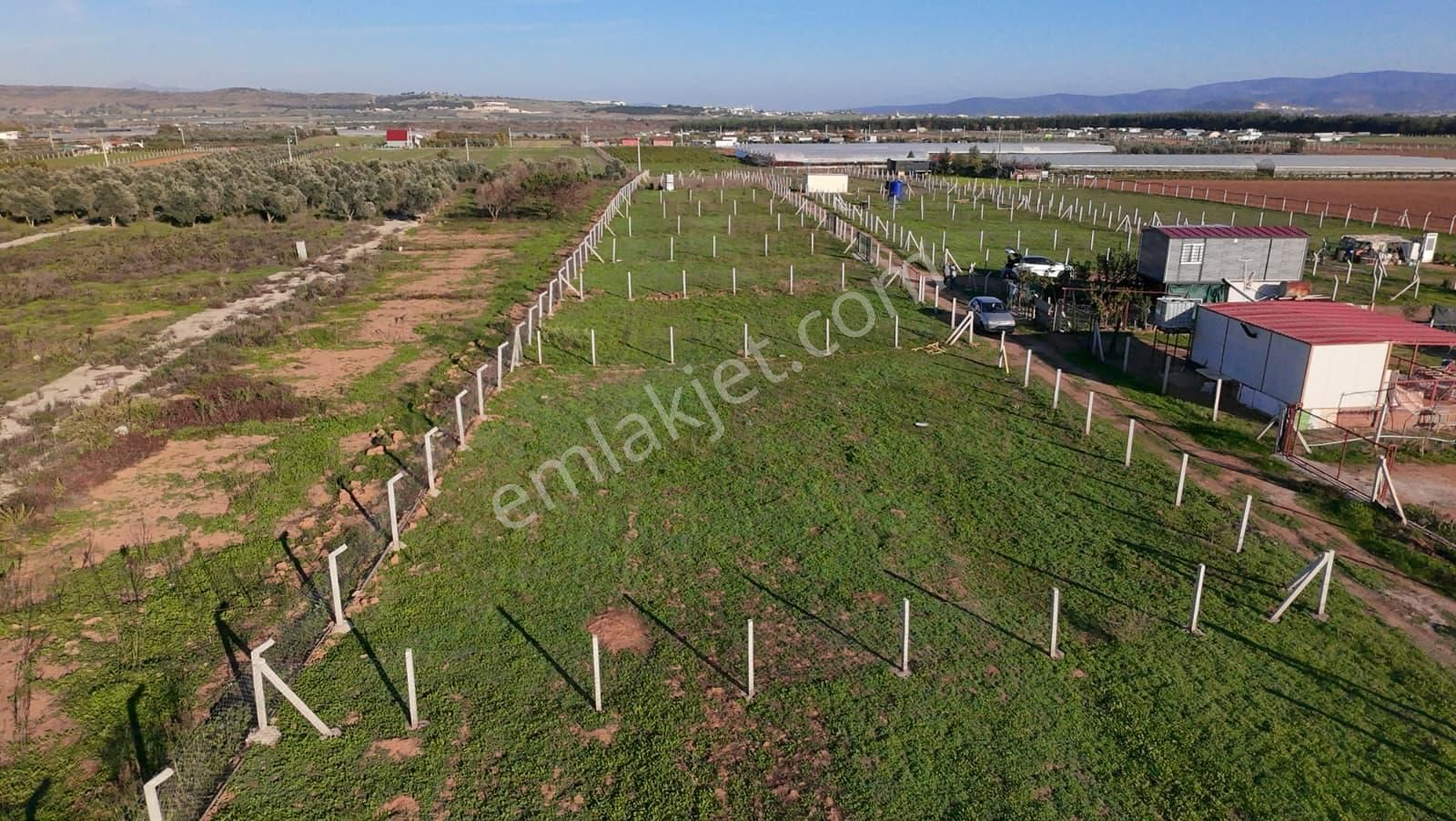 Menderes Develi'de Tapudan Satış 520 M2 Satılık Parselli Tarla - Görsel 16