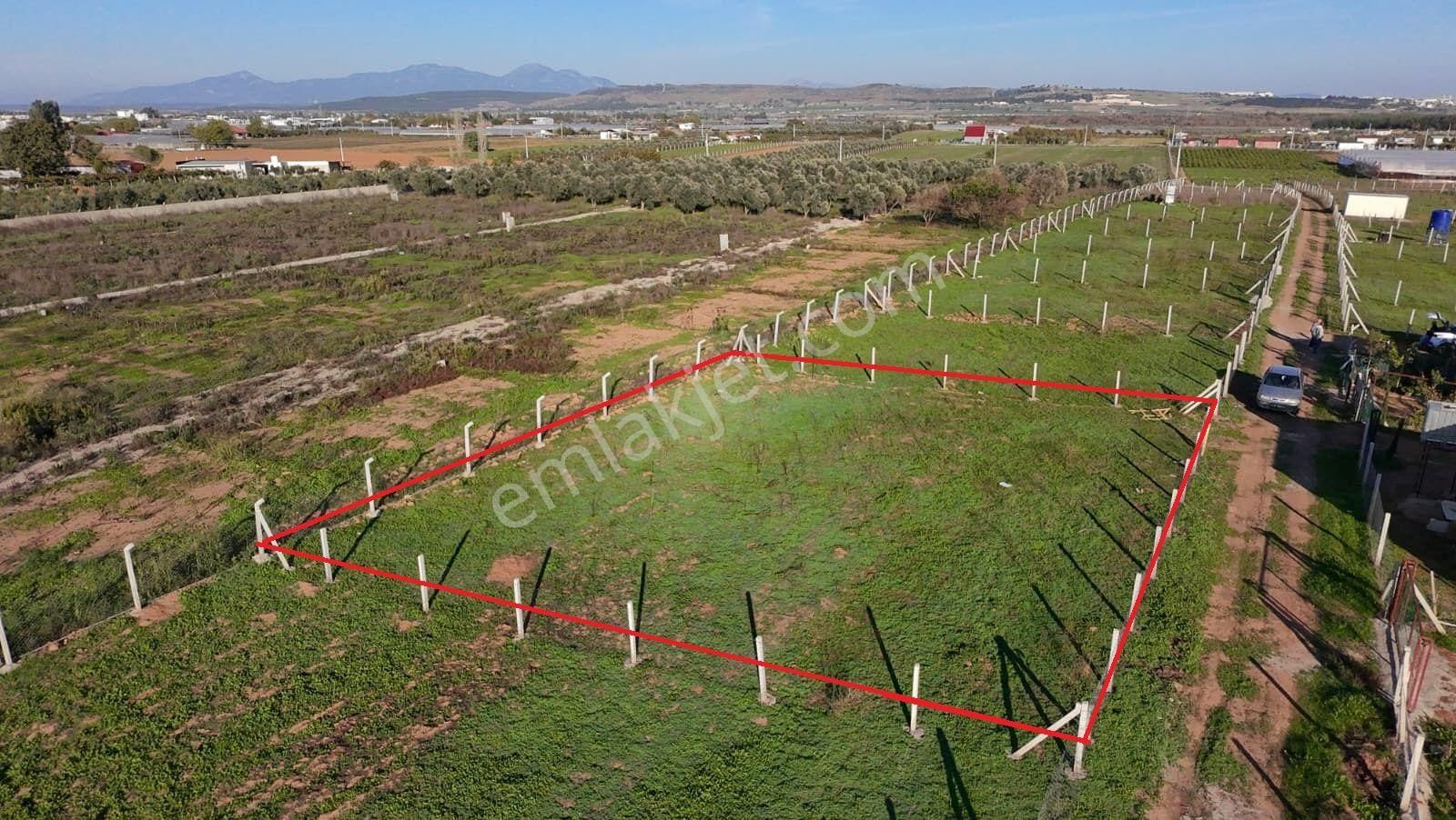 Menderes Develi'de Tapudan Satış 520 M2 Satılık Parselli Tarla - Görsel 7