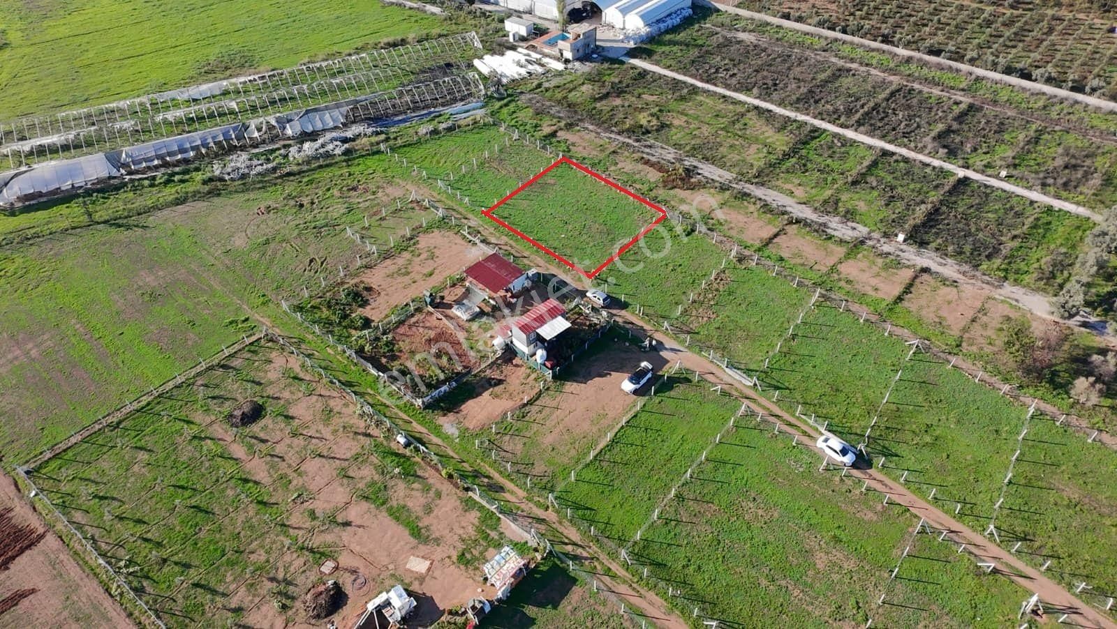 Menderes Develi'de Tapudan Satış 520 M2 Satılık Parselli Tarla - Görsel 15