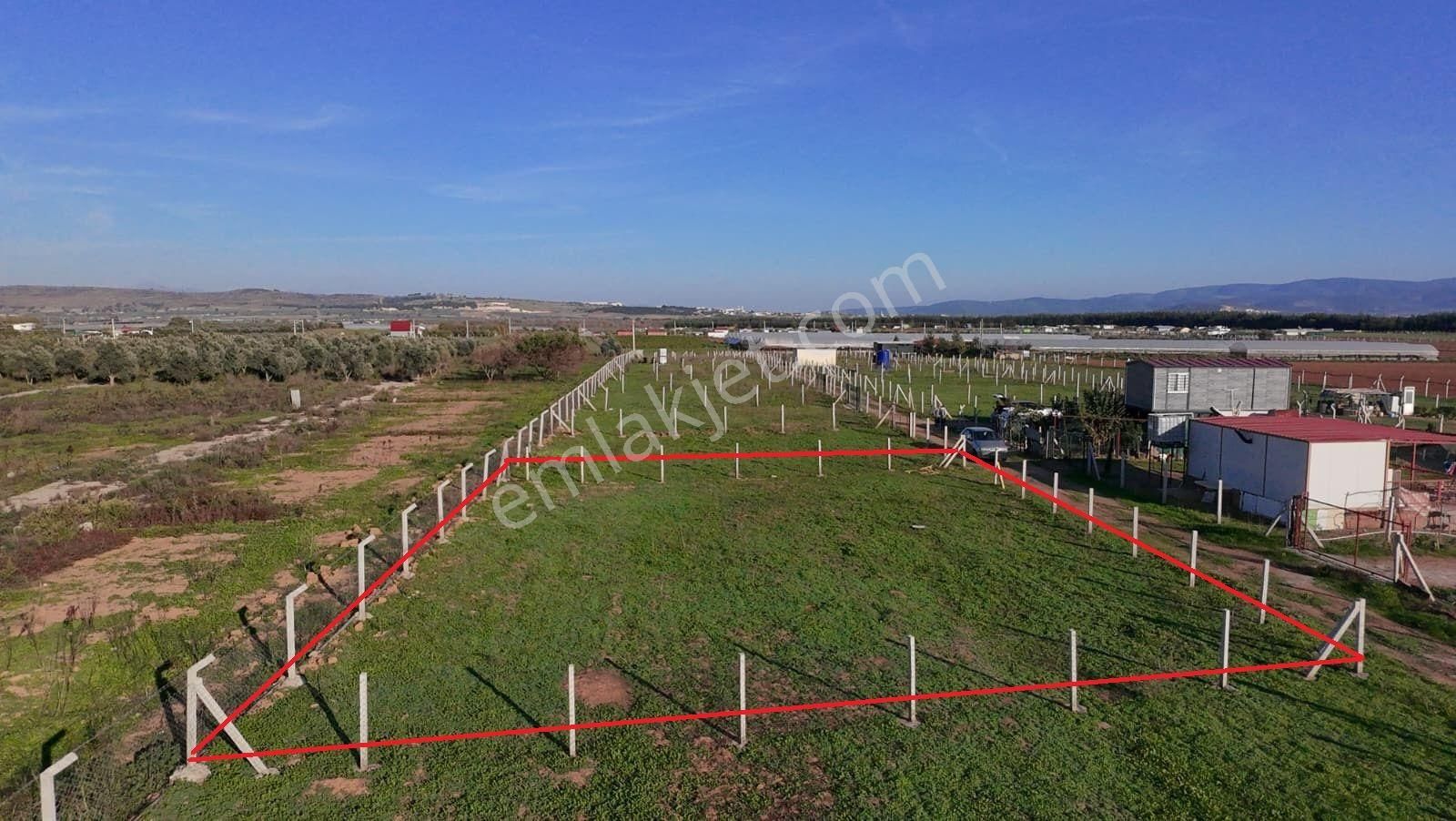 Menderes Develi'de Tapudan Satış 520 M2 Satılık Parselli Tarla - Görsel 6