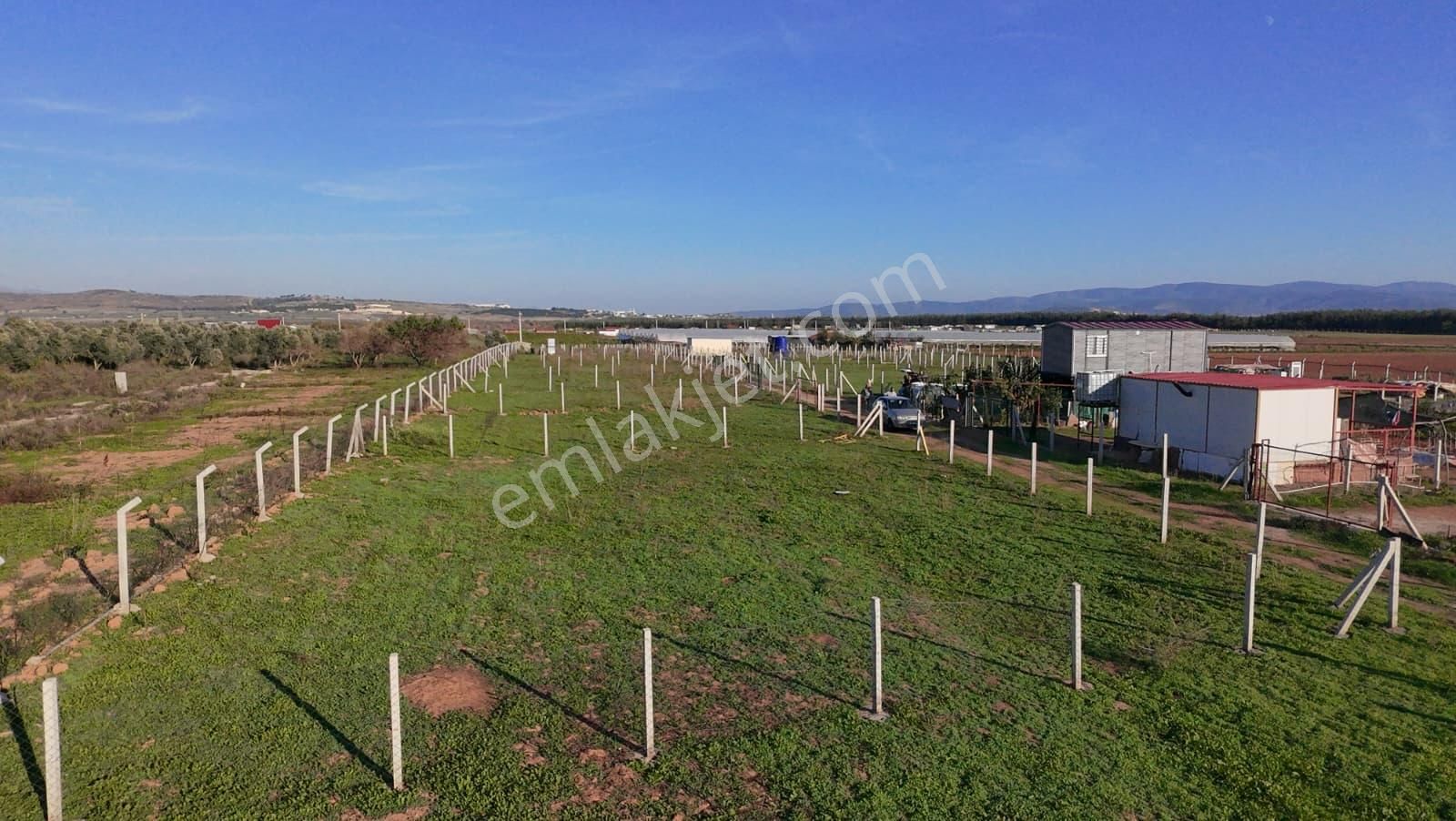 Menderes Develi'de Tapudan Satış 520 M2 Satılık Parselli Tarla - Görsel 14