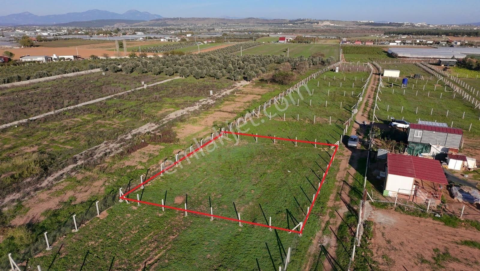 Menderes Develi'de Tapudan Satış 520 M2 Satılık Parselli Tarla - Görsel 5