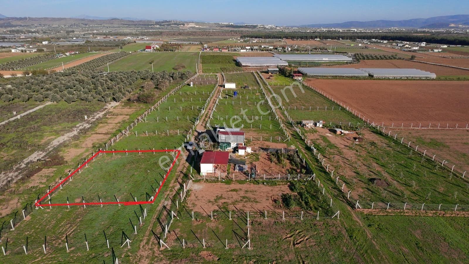 Menderes Develi'de Tapudan Satış 520 M2 Satılık Parselli Tarla - Görsel 13