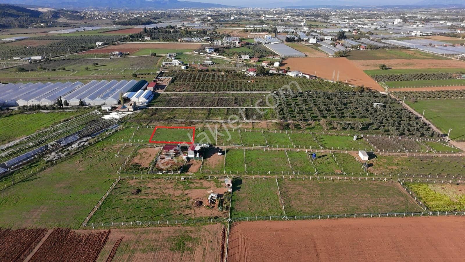 Menderes Develi'de Tapudan Satış 520 M2 Satılık Parselli Tarla - Görsel 2