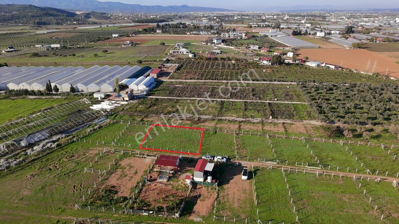 Menderes Develi'de Tapudan Satış 520 M2 Satılık Parselli Tarla - Görsel 11