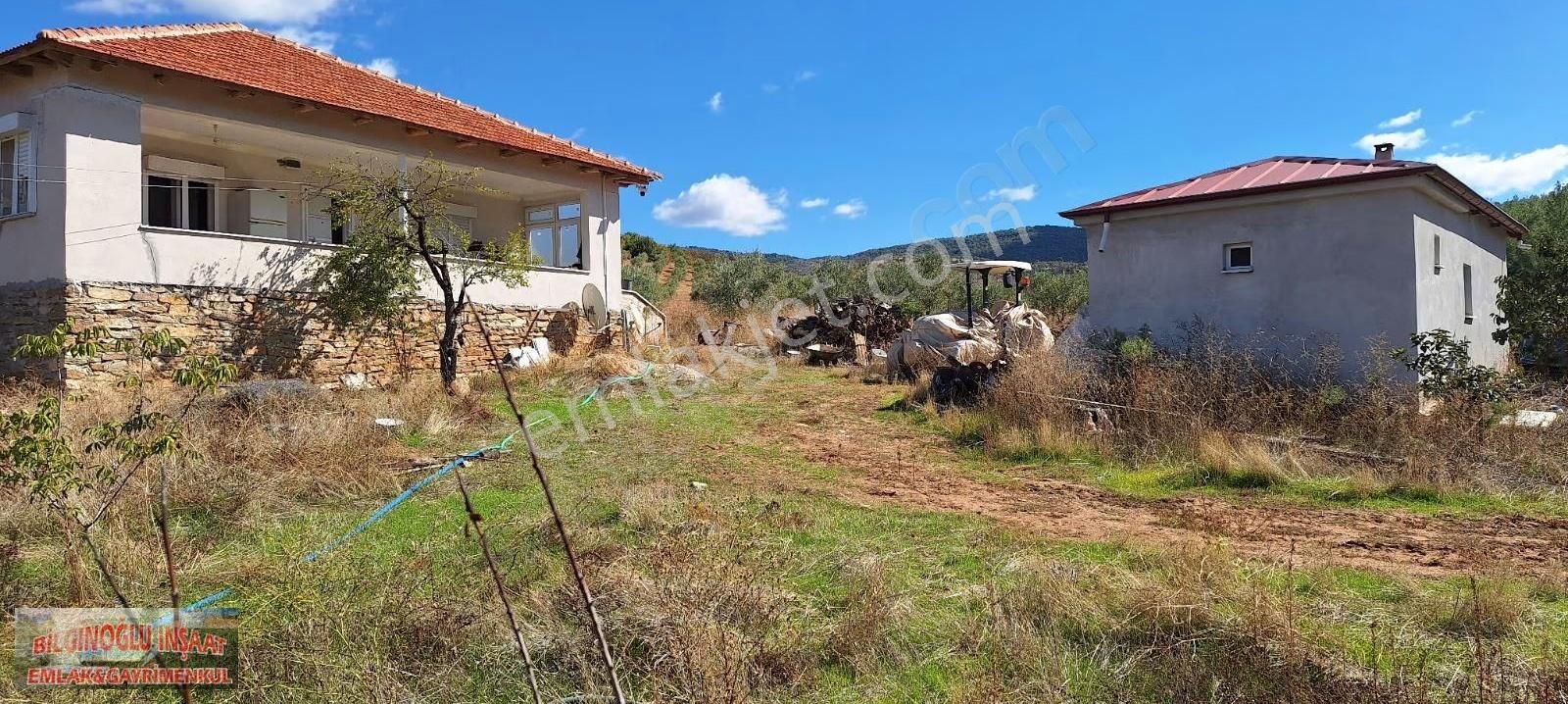 Manisa Salihli'de 195 Dönüm Bakımlı Zeytin Bahçesi - Görsel 9