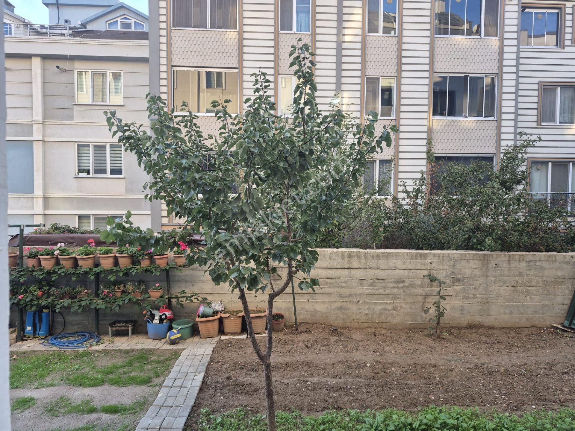 Bandırma 17 Eylül Mahallesi Avm Arkası Satılık 2+1 Daire - Görsel 31