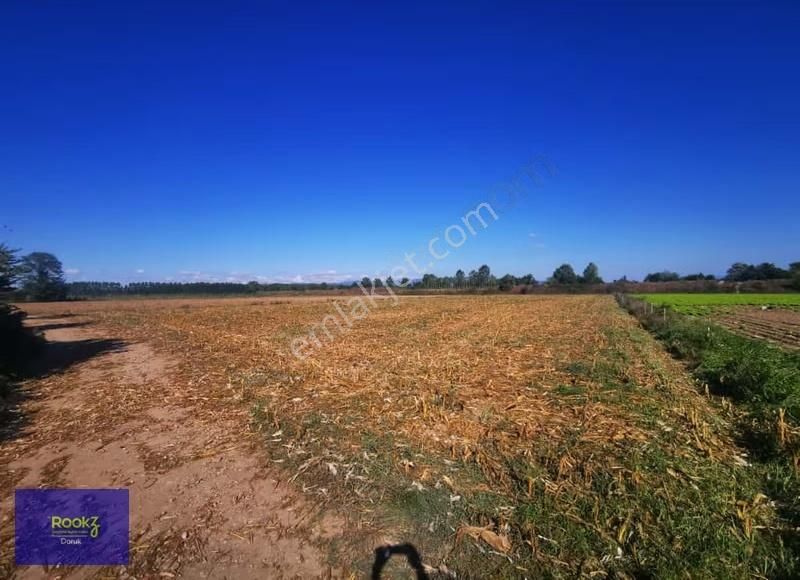 Rookz Doruk'dan Sakarya Arifiye'de 9689m2 Yatırımlık Arsa!!! - Görsel 4