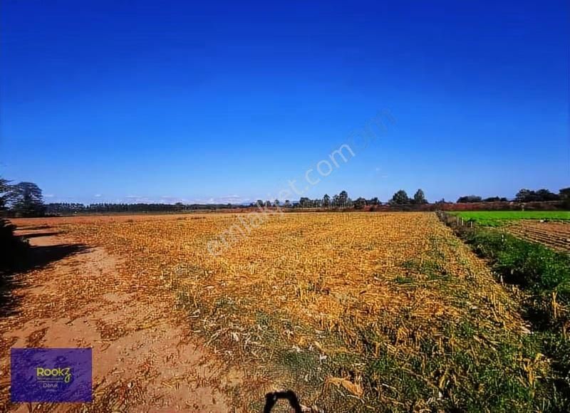 Rookz Doruk'dan Sakarya Arifiye'de 9689m2 Yatırımlık Arsa!!! - Görsel 6