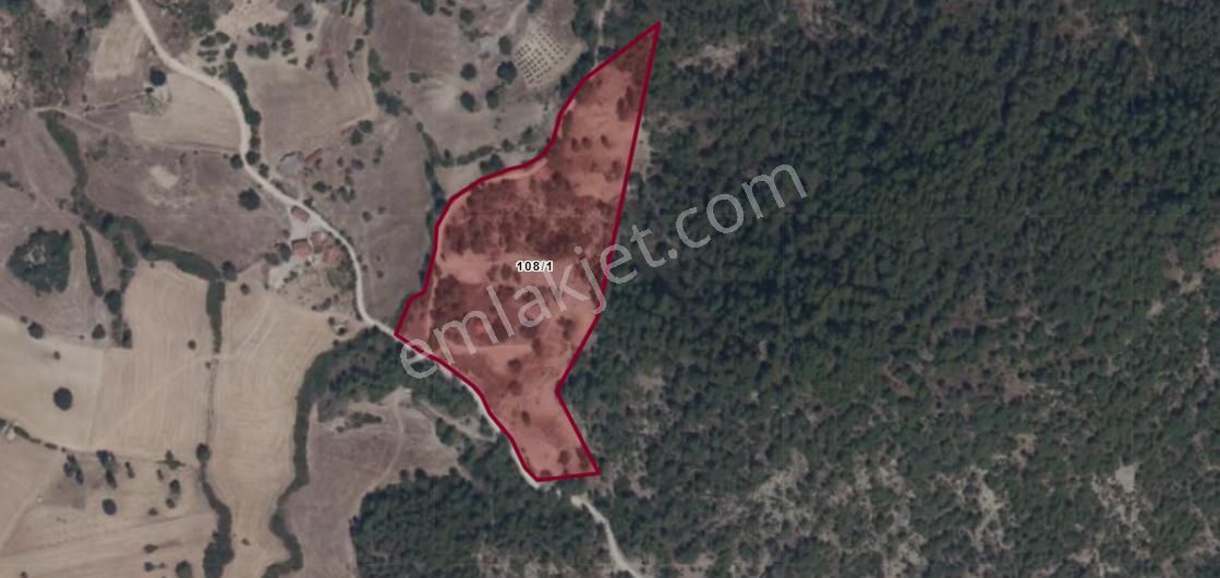 Usta Gayrimenkul'den Satılık Manavgat Karabük'te Tarla