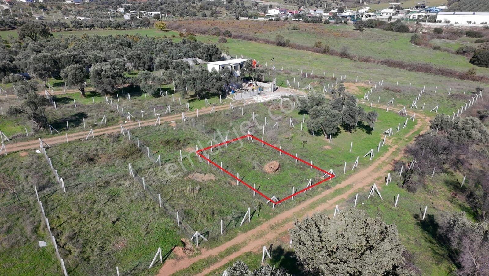 Menderes Dereköy'de 202 M2 Elektrik& Suyu Mevcut Satılık Parsel - Görsel 3