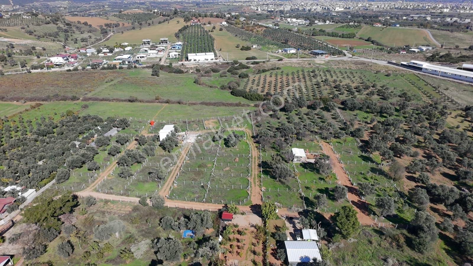 Menderes Dereköy'de 202 M2 Elektrik& Suyu Mevcut Satılık Parsel - Görsel 11