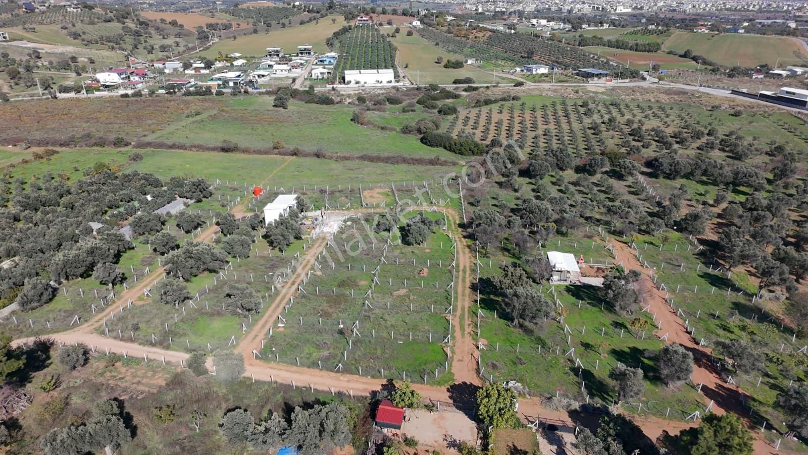 Menderes Dereköy'de 202 M2 Elektrik& Suyu Mevcut Satılık Parsel - Görsel 14