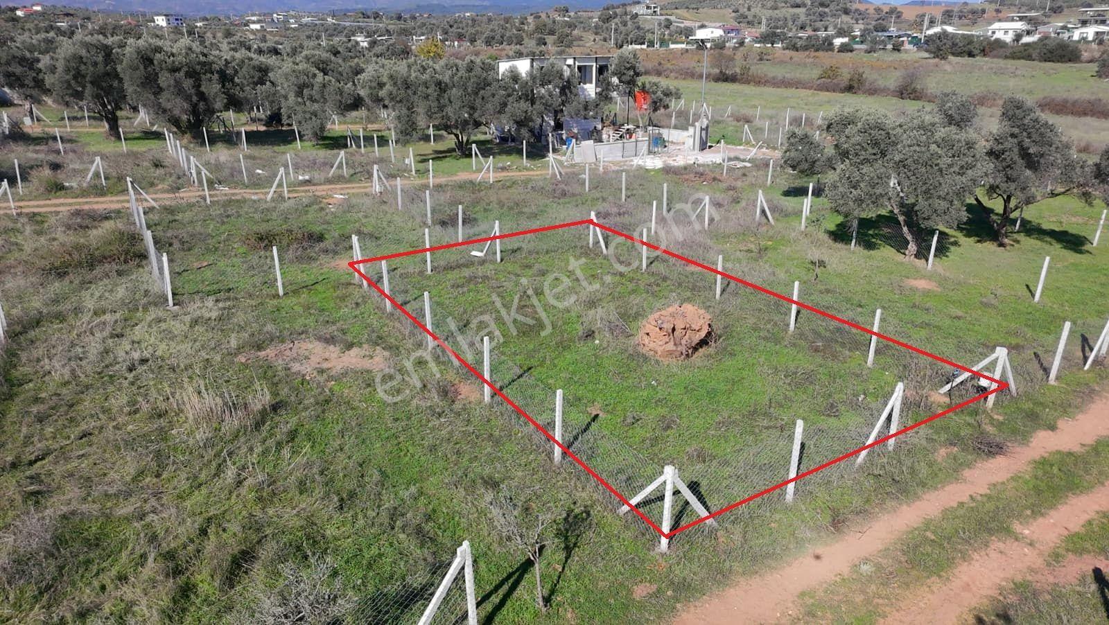 Menderes Dereköy'de 202 M2 Elektrik& Suyu Mevcut Satılık Parsel - Görsel 7