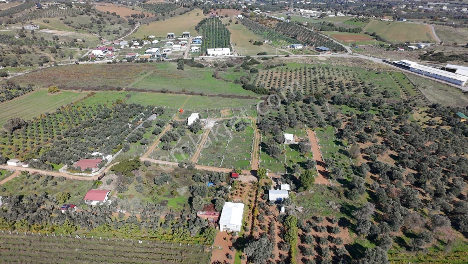 Menderes Dereköy'de 202 M2 Elektrik& Suyu Mevcut Satılık Parsel - Görsel 10