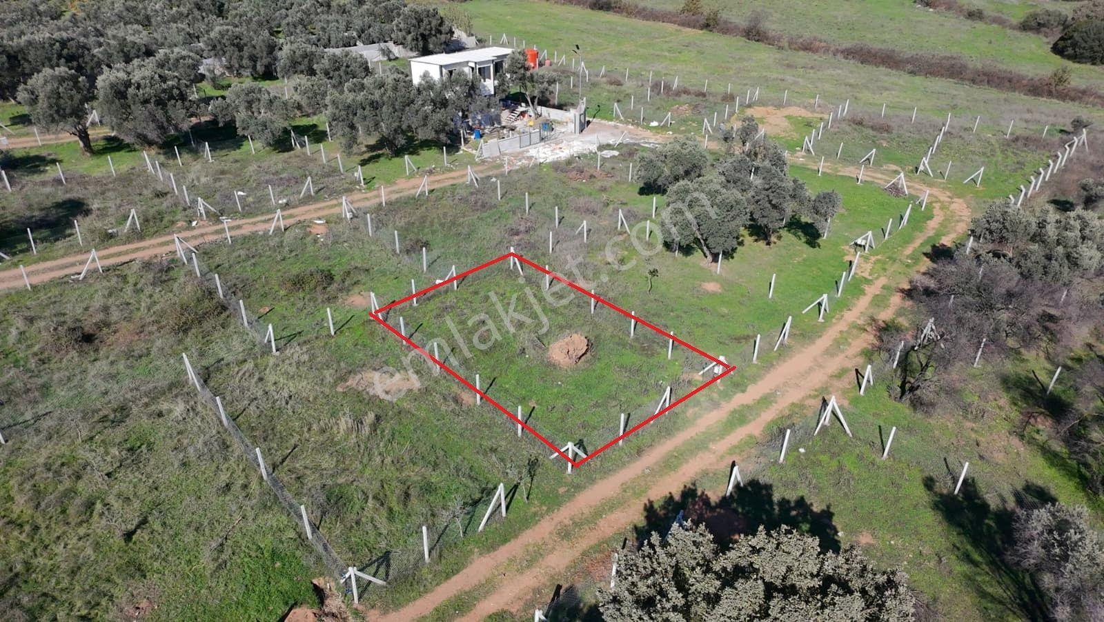 Menderes Dereköy'de 202 M2 Elektrik& Suyu Mevcut Satılık Parsel - Görsel 2