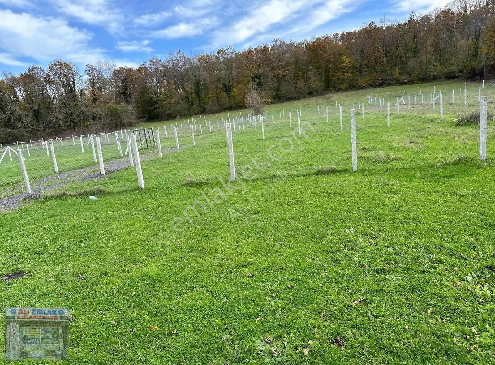 Çatalca Belgrat 275metre Çaplı Muvafakatnameli - Görsel 4