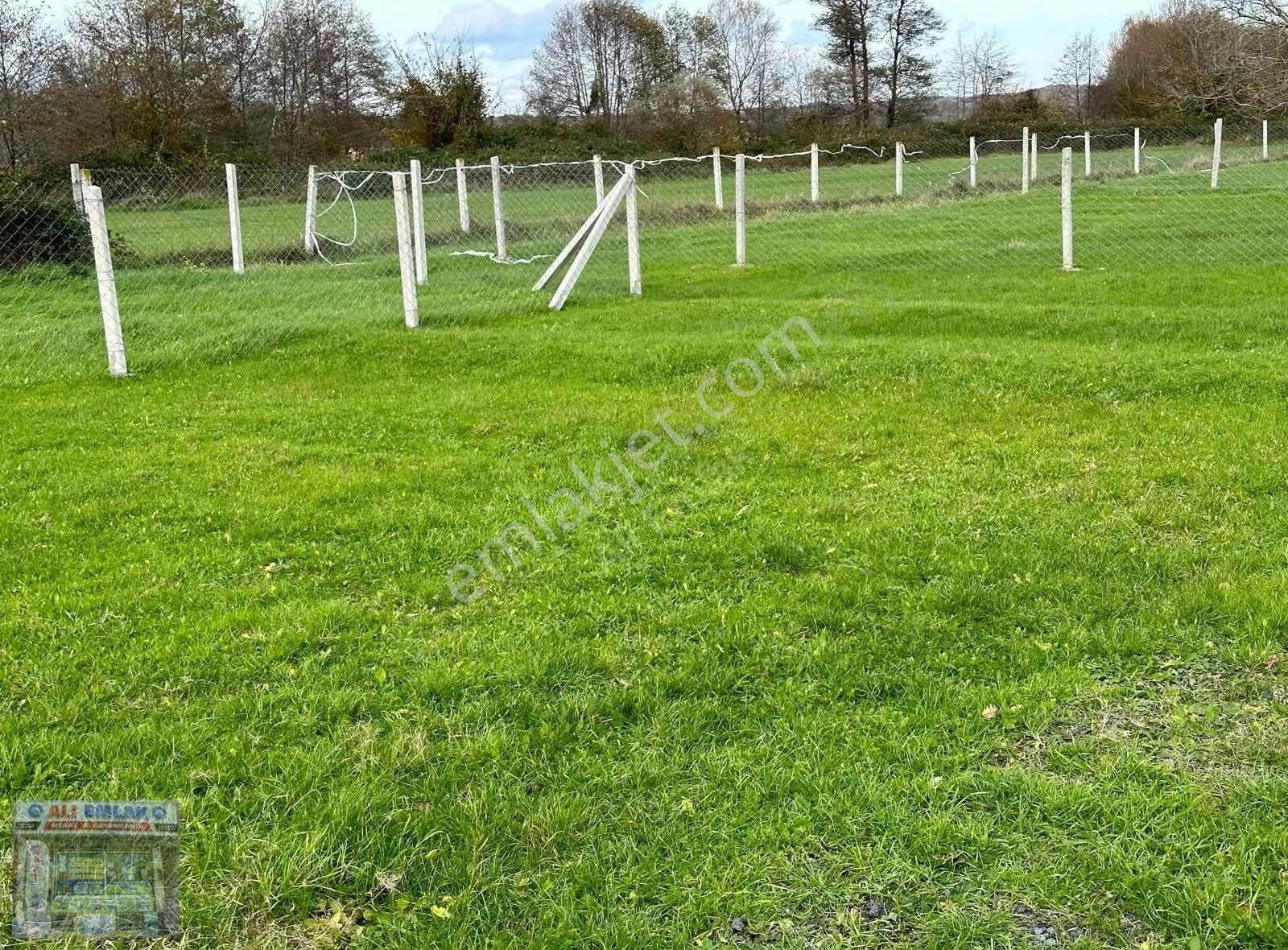 Çatalca Belgrat 275metre Çaplı Muvafakatnameli - Görsel 2