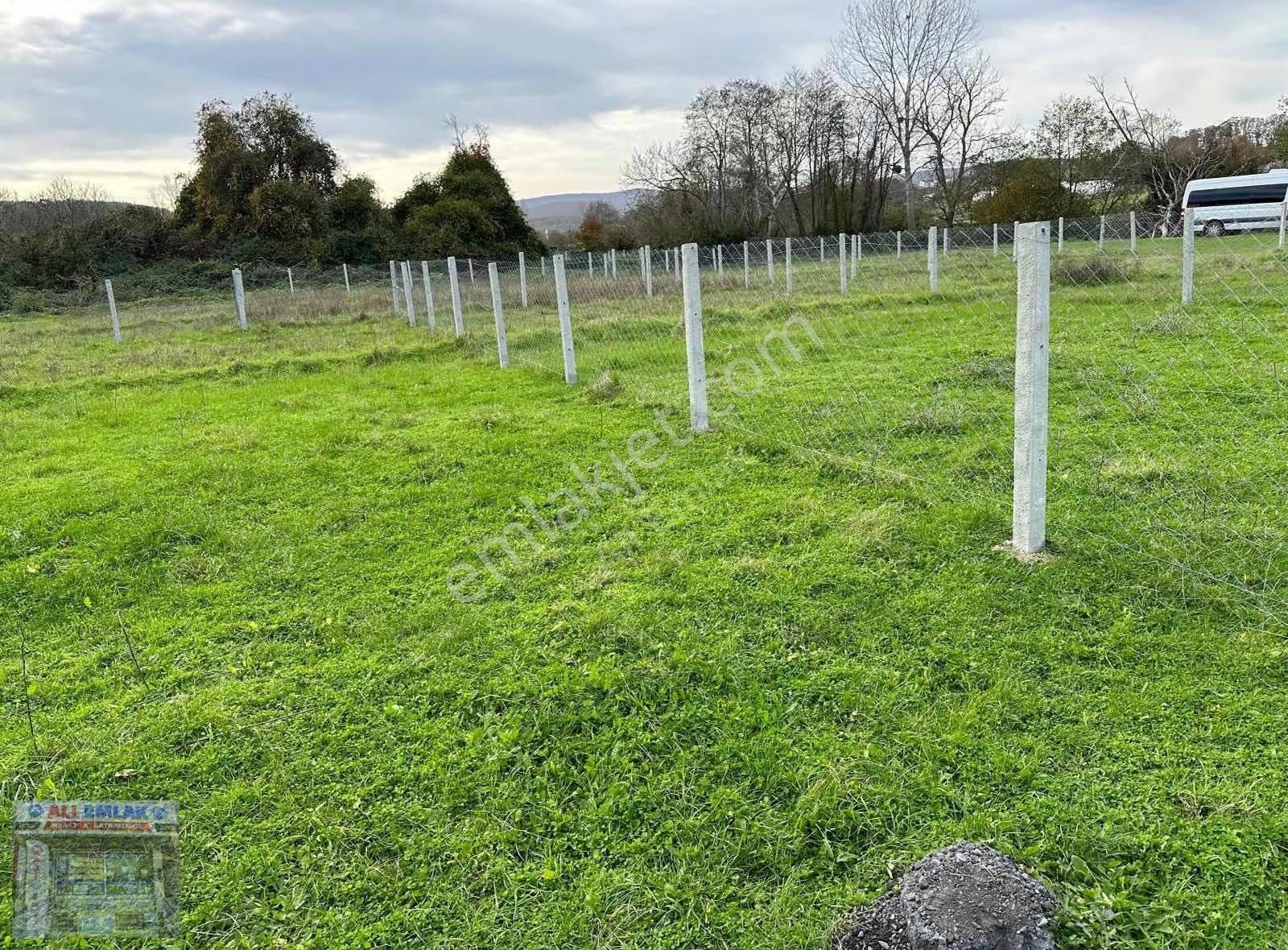 Çatalca Belgrat 275metre Çaplı Muvafakatnameli - Görsel 6