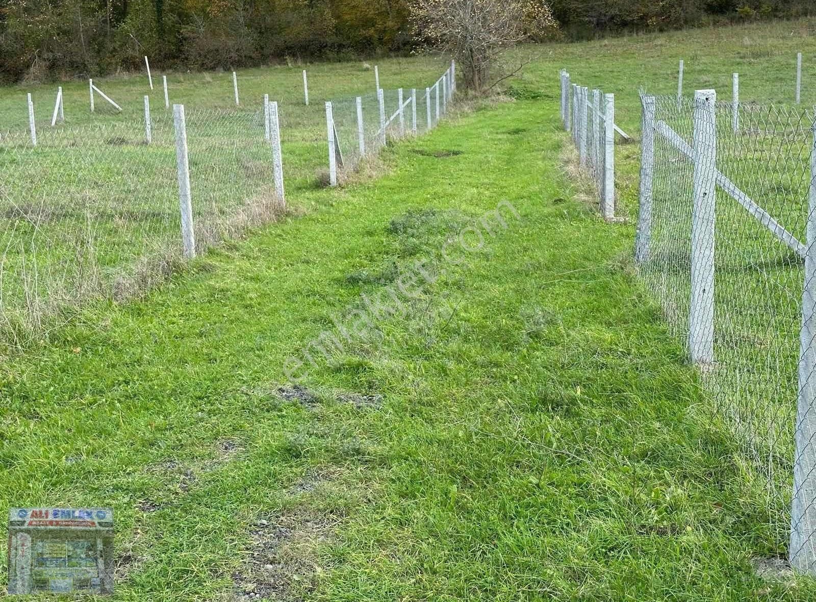 Çatalca Belgrat 275metre Çaplı Muvafakatnameli - Görsel 3