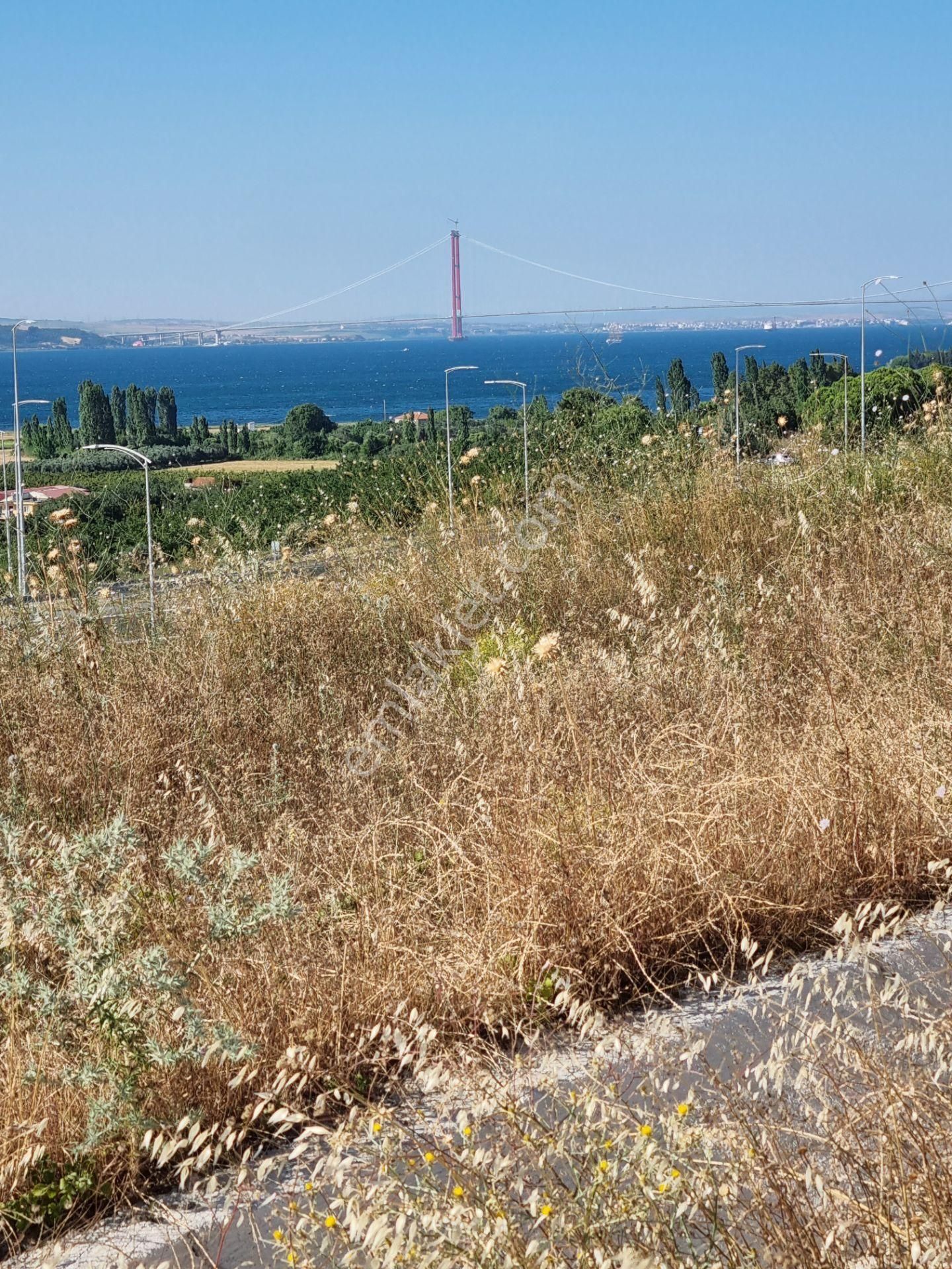 Lapseki Kemiklialan Köyünde Panoramik 6800 M2 Satılık Tarla - Görsel 23