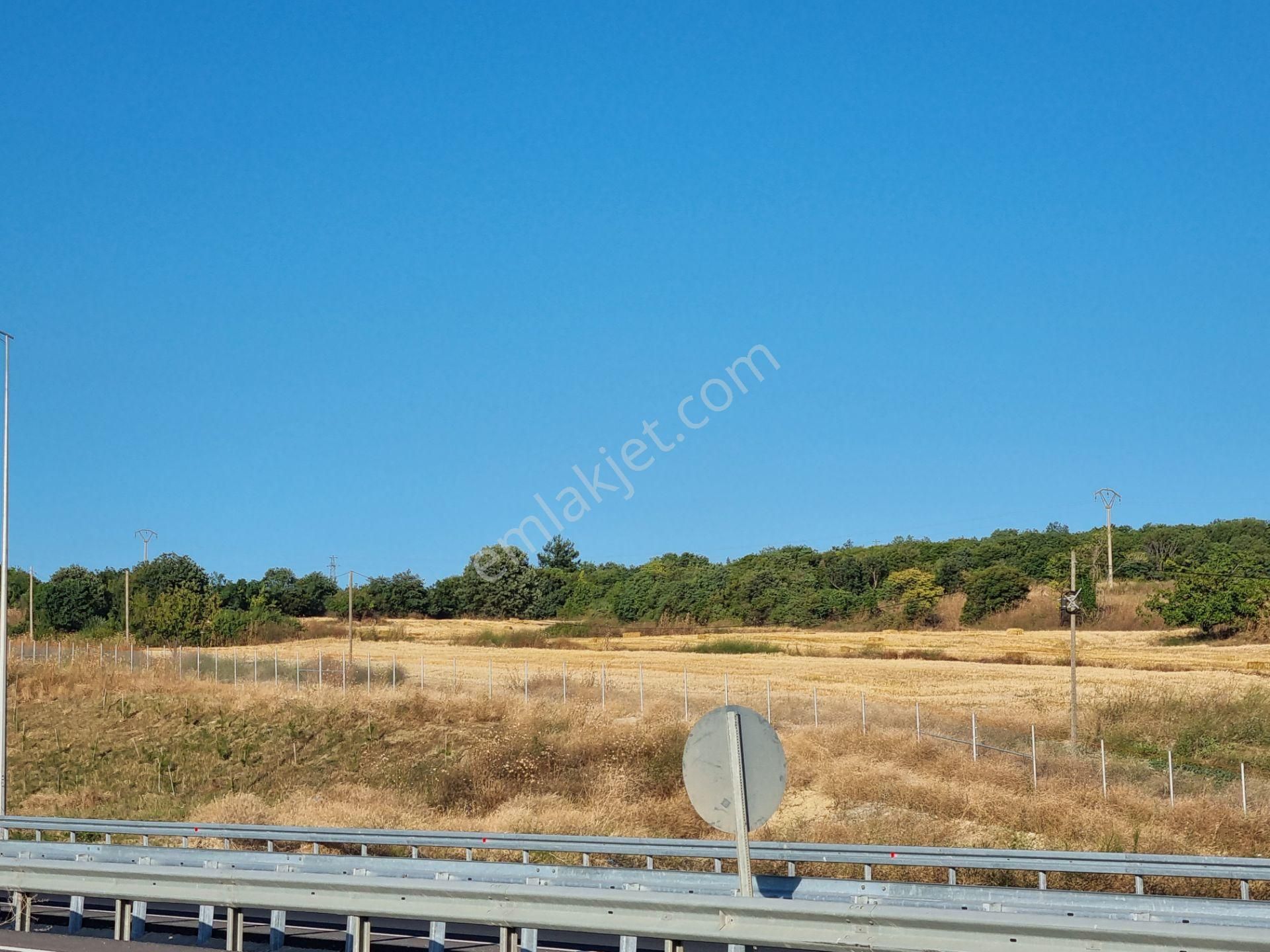 Lapseki Kemiklialan Köyünde Panoramik 6800 M2 Satılık Tarla - Görsel 35