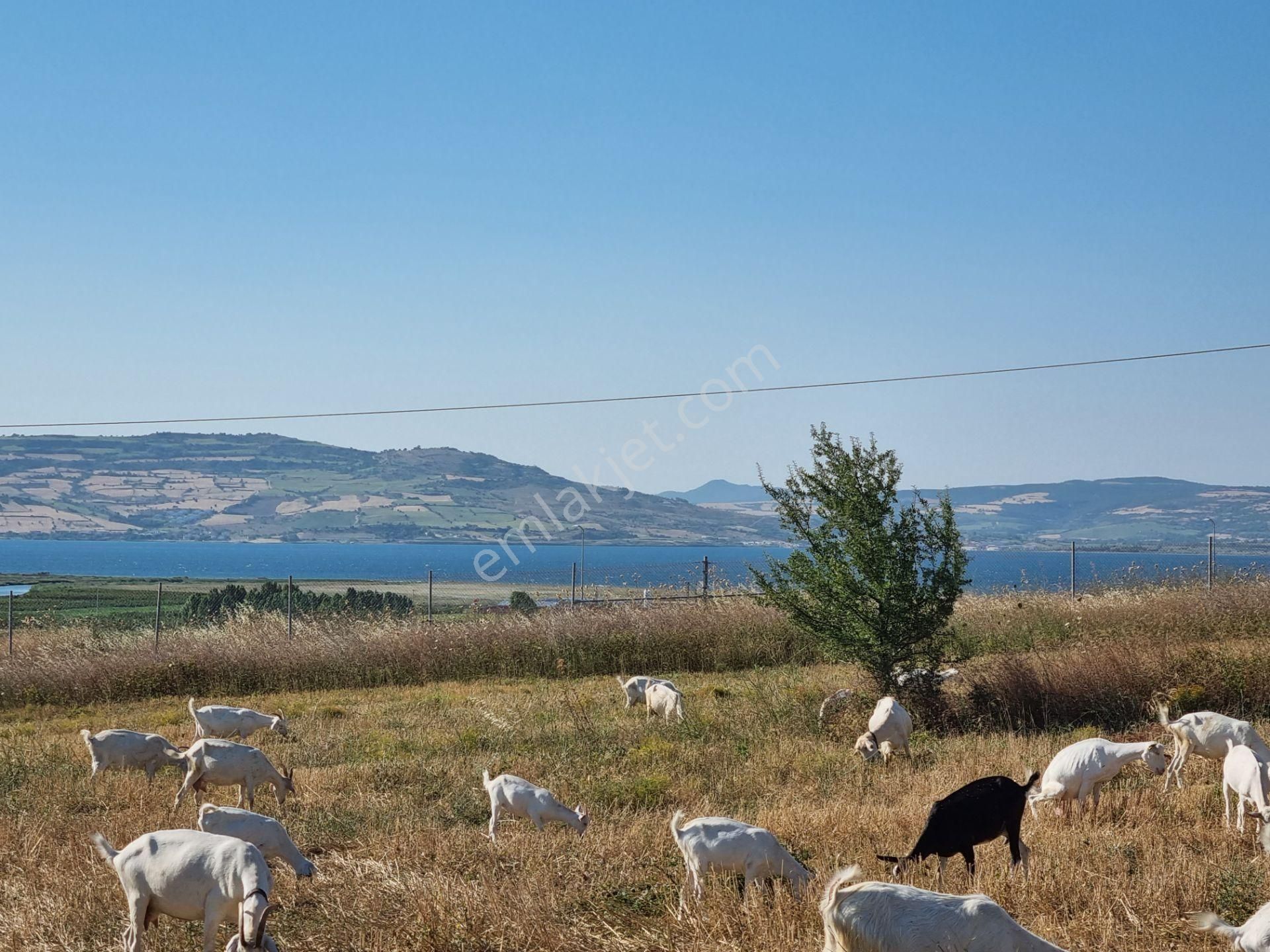 Lapseki Kemiklialan Köyünde Panoramik 6800 M2 Satılık Tarla - Görsel 3