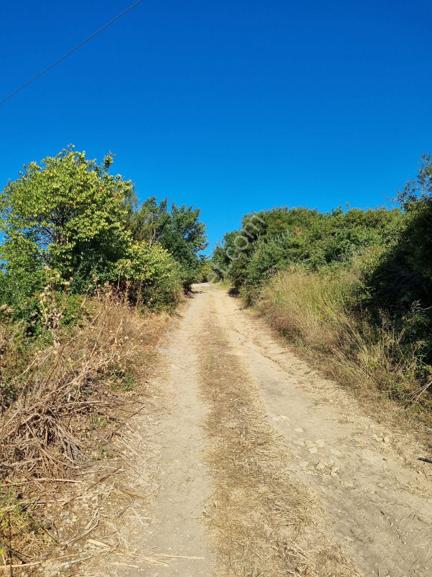 Lapseki Kemiklialan Köyünde Panoramik 6800 M2 Satılık Tarla - Görsel 34