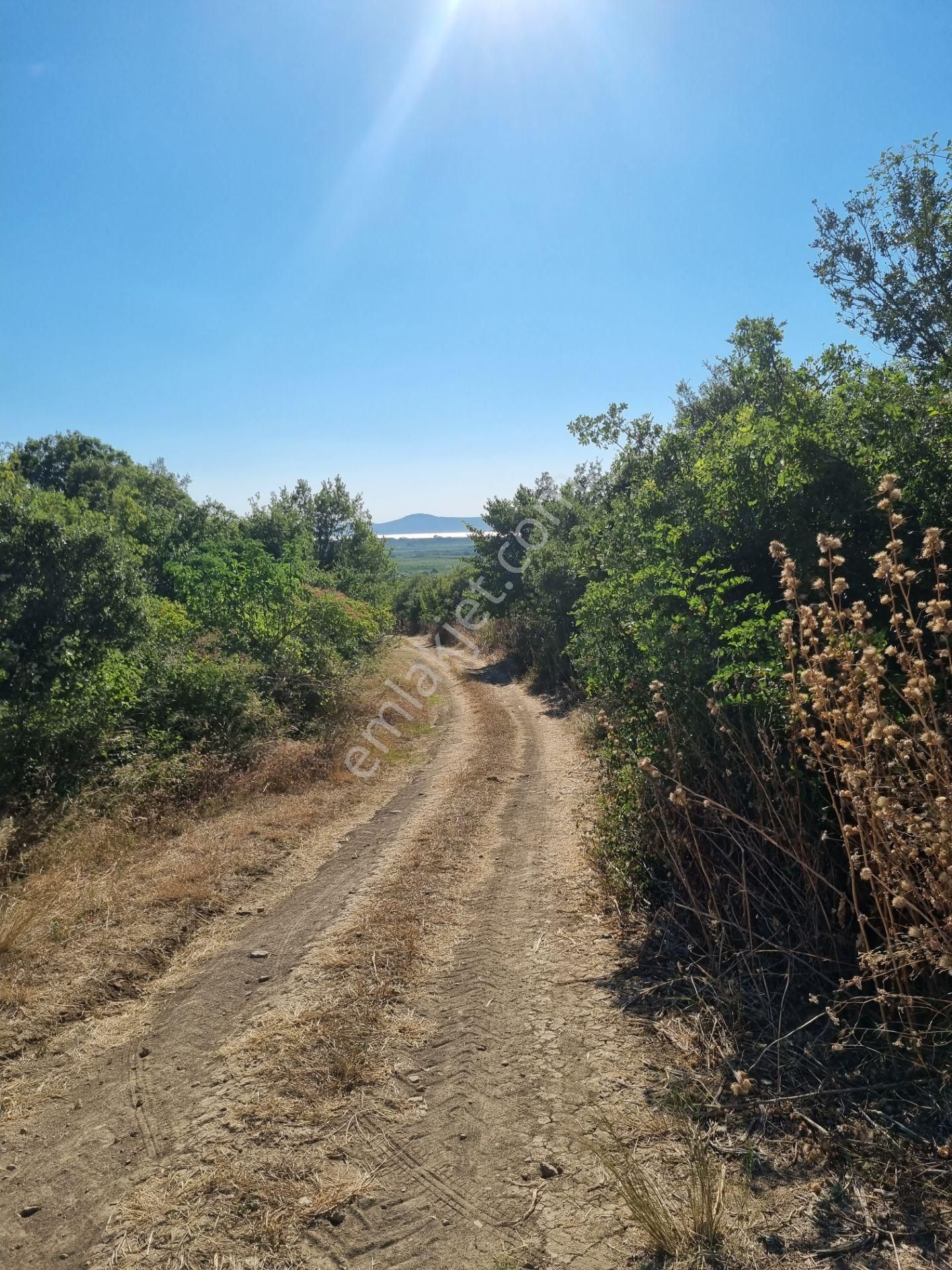 Lapseki Kemiklialan Köyünde Panoramik 6800 M2 Satılık Tarla - Görsel 33