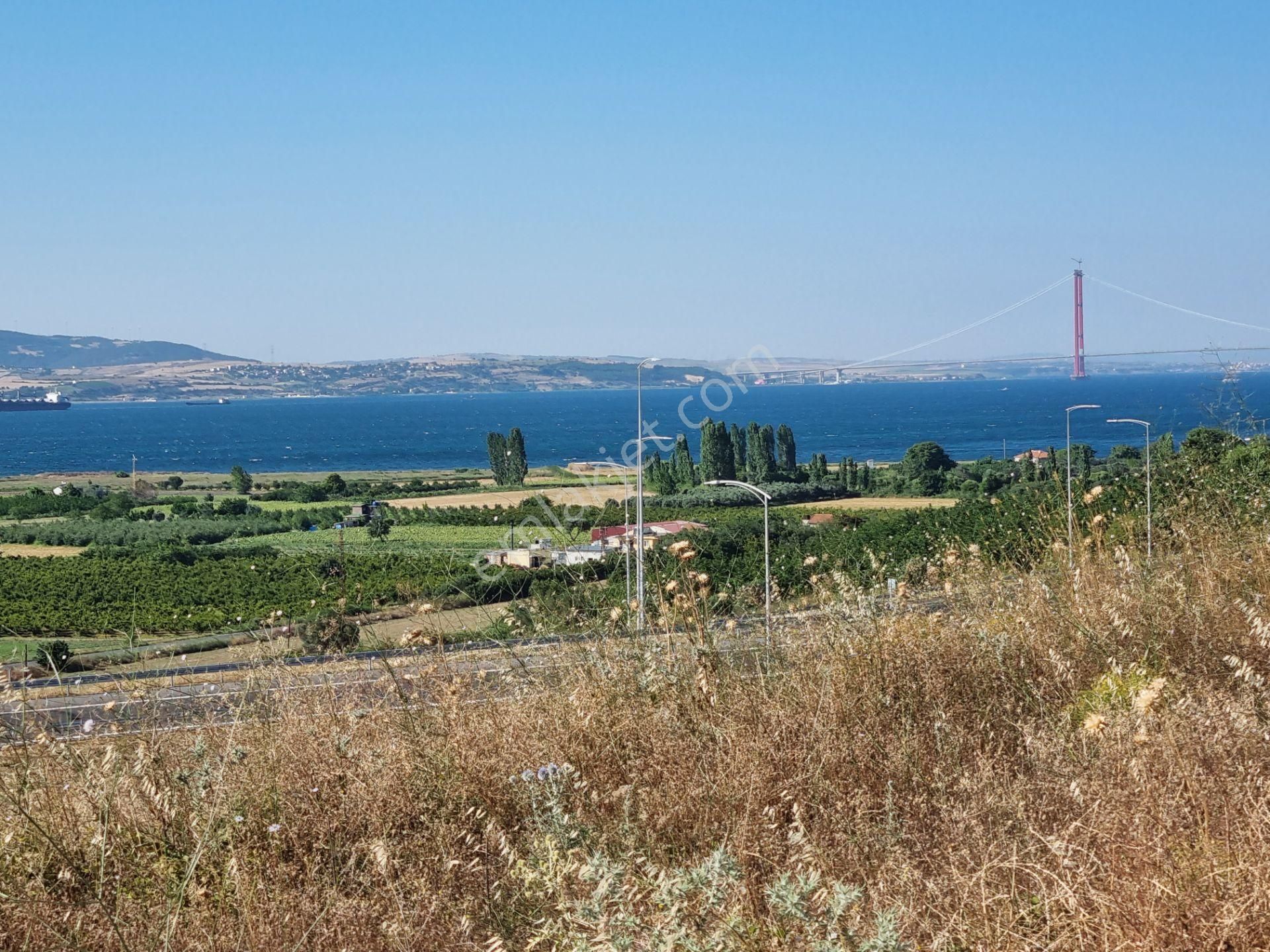 Lapseki Kemiklialan Köyünde Panoramik 6800 M2 Satılık Tarla - Görsel 18
