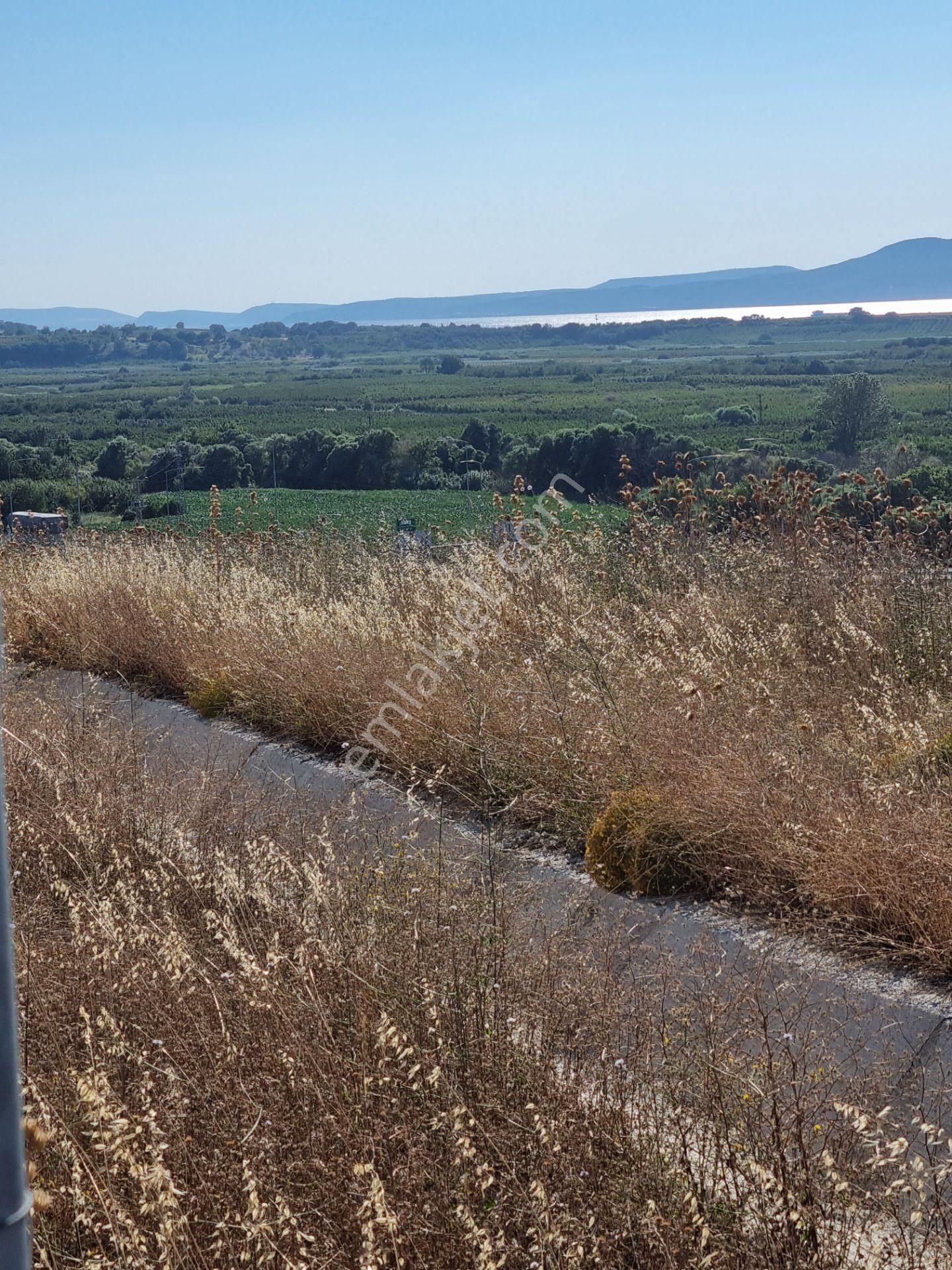 Lapseki Kemiklialan Köyünde Panoramik 6800 M2 Satılık Tarla - Görsel 22