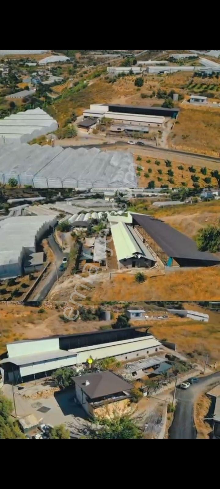 Satılık Hayvan Çiftliği İmamlı Alanya - Görsel 3