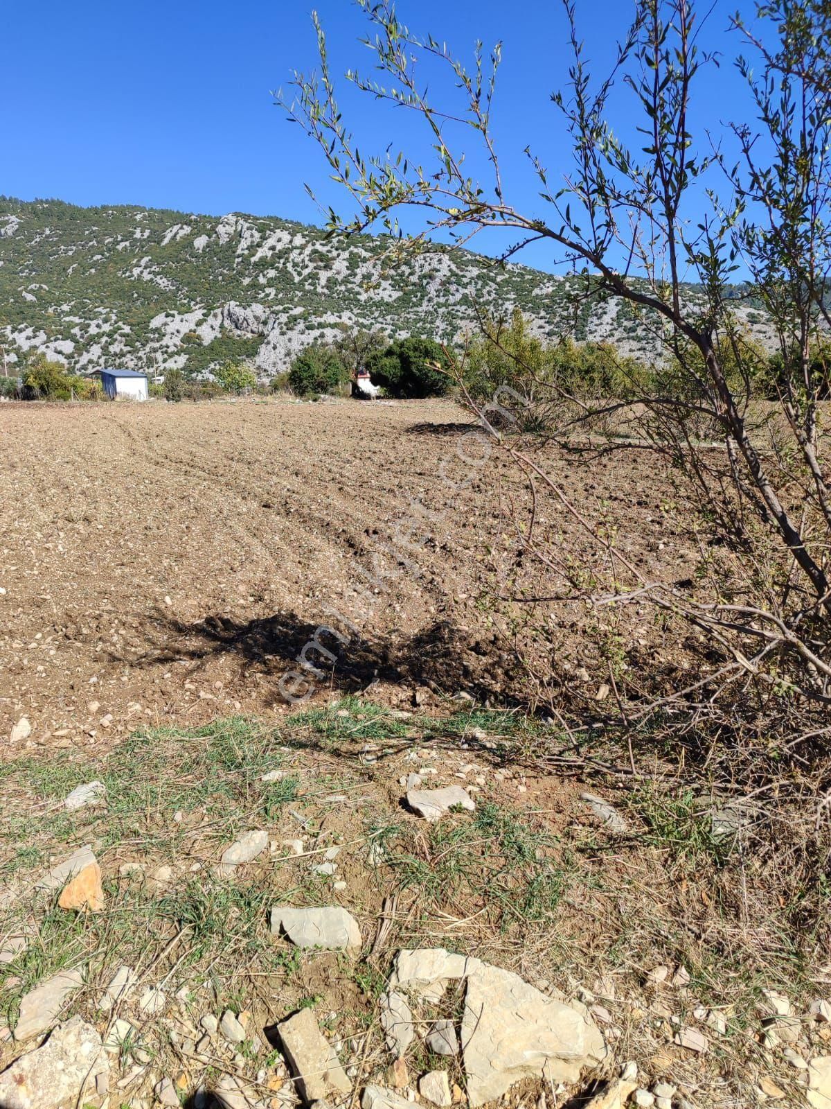 Kocaaliler Hamaztaşında Tek Tapulu Muhteşem Tarla