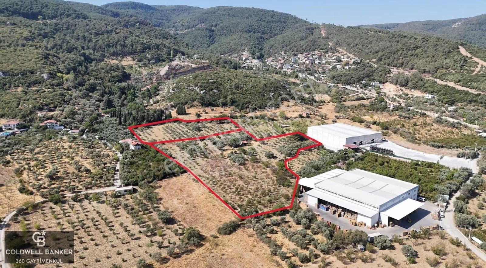Kemalpaşa, Kızılüzüm Mah. Satılık Tarla - Görsel 7