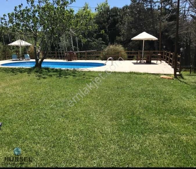 Eyüp Odayeri Ormana Sınır Satılık Arsa - Görsel 7