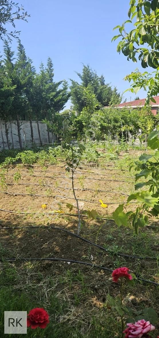 Çatalça Çanakça Arsa Alanı 1500 M2 2 Adet Satılık Villa - Görsel 18