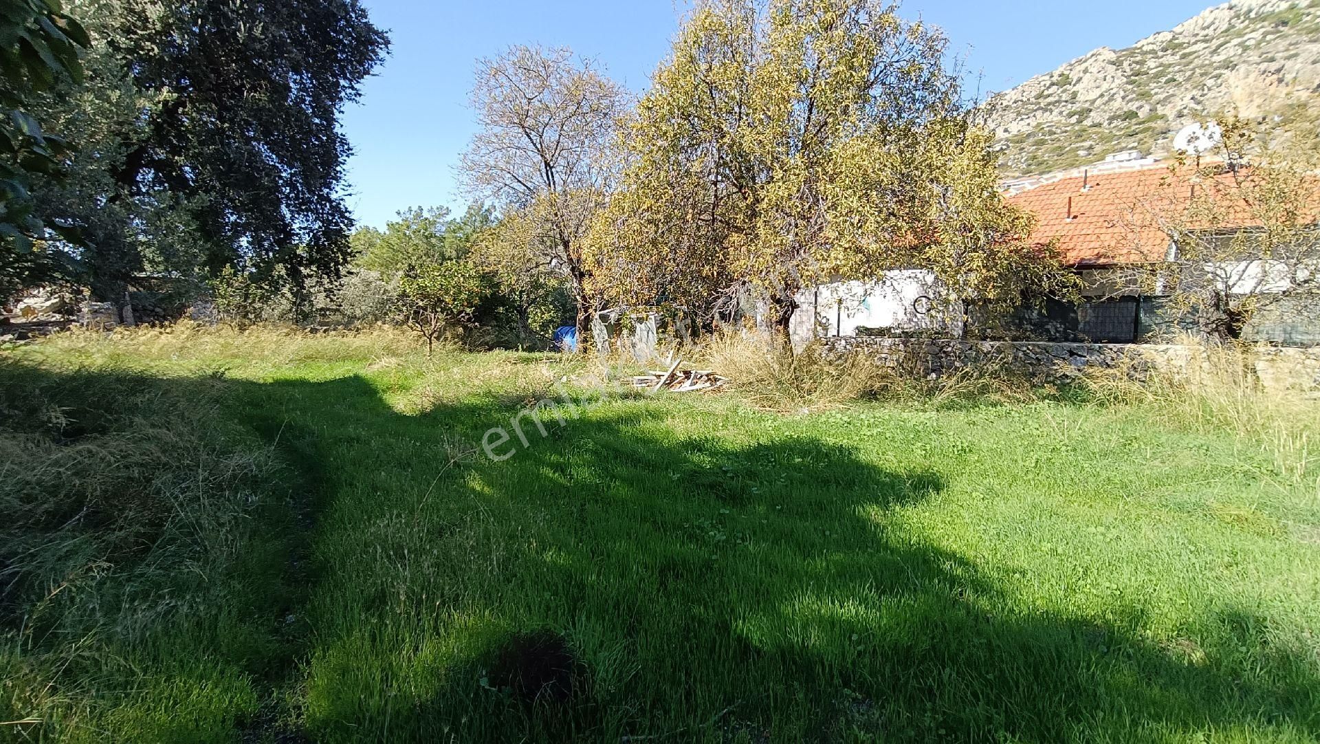 Joker: Söğüt Kırsal Yerleşik Alanda Sahile 1 Dakika - Görsel 14