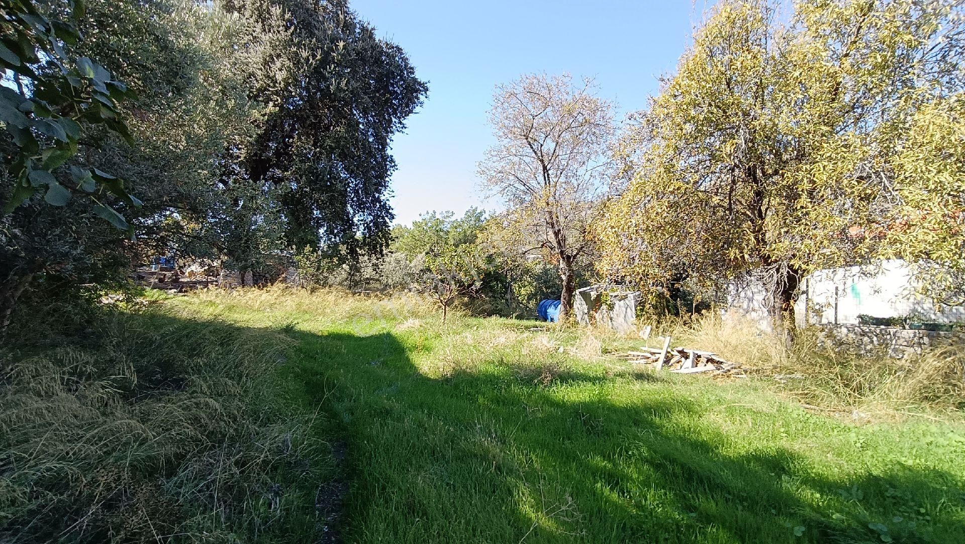 Joker: Söğüt Kırsal Yerleşik Alanda Sahile 1 Dakika - Görsel 12