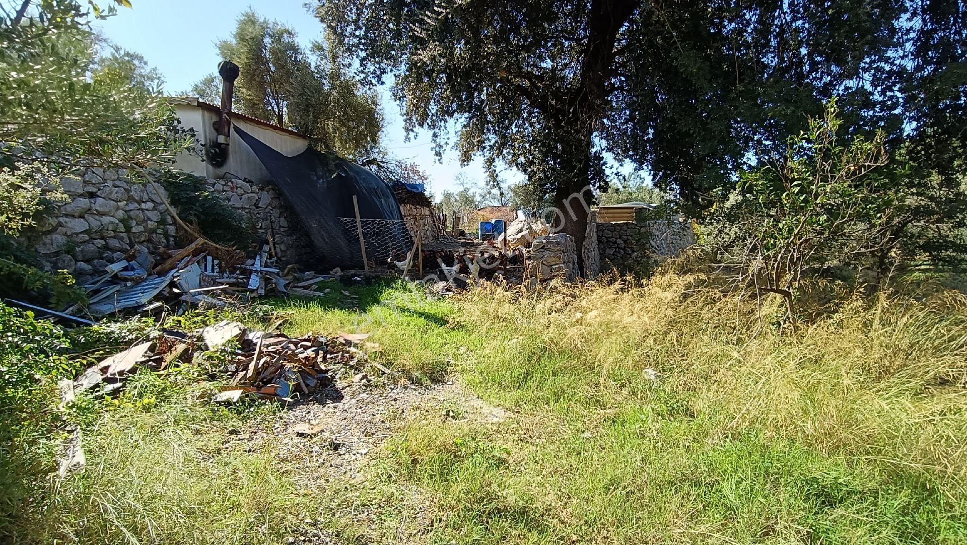 Joker: Söğüt Kırsal Yerleşik Alanda Sahile 1 Dakika - Görsel 8