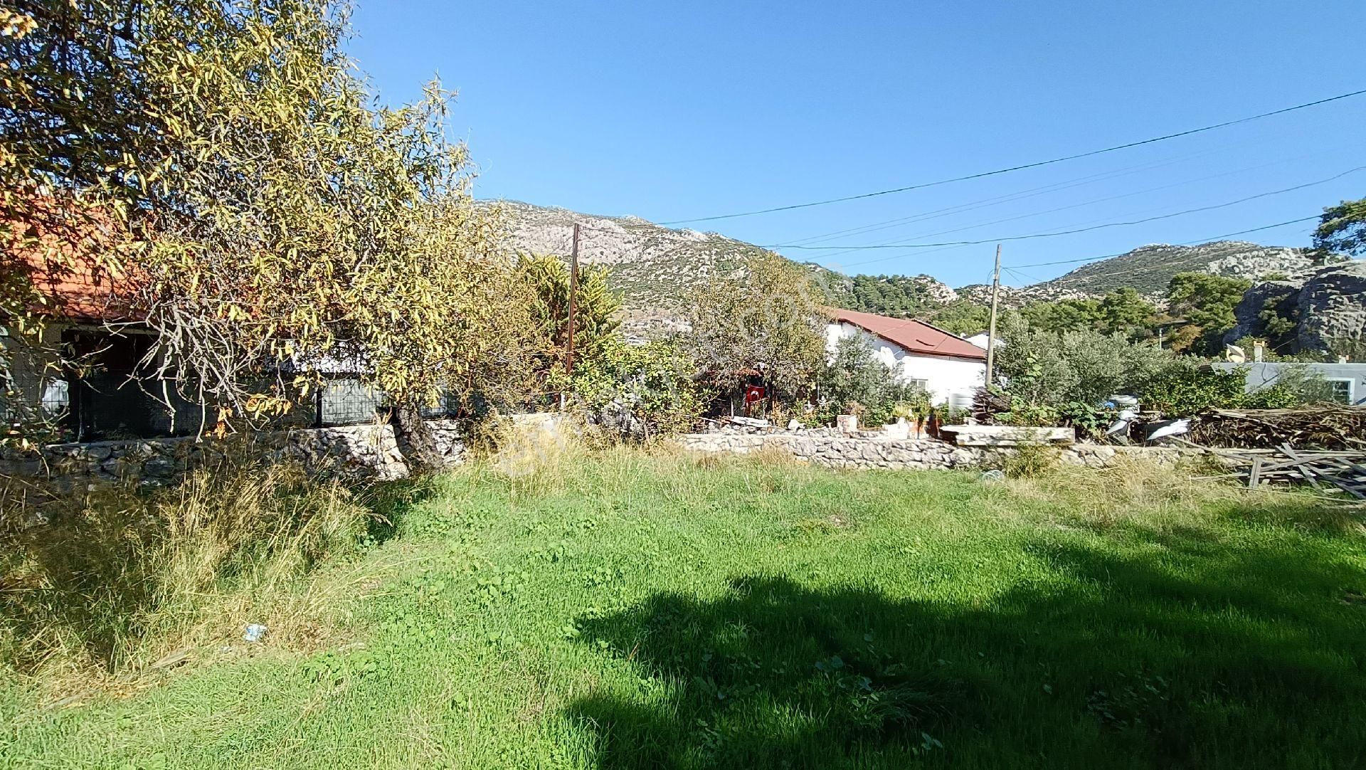 Joker: Söğüt Kırsal Yerleşik Alanda Sahile 1 Dakika - Görsel 16