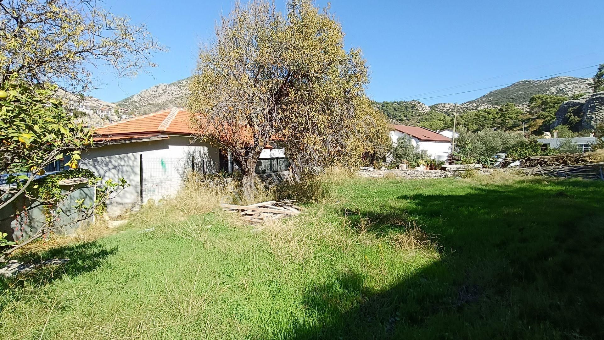 Joker: Söğüt Kırsal Yerleşik Alanda Sahile 1 Dakika - Görsel 6