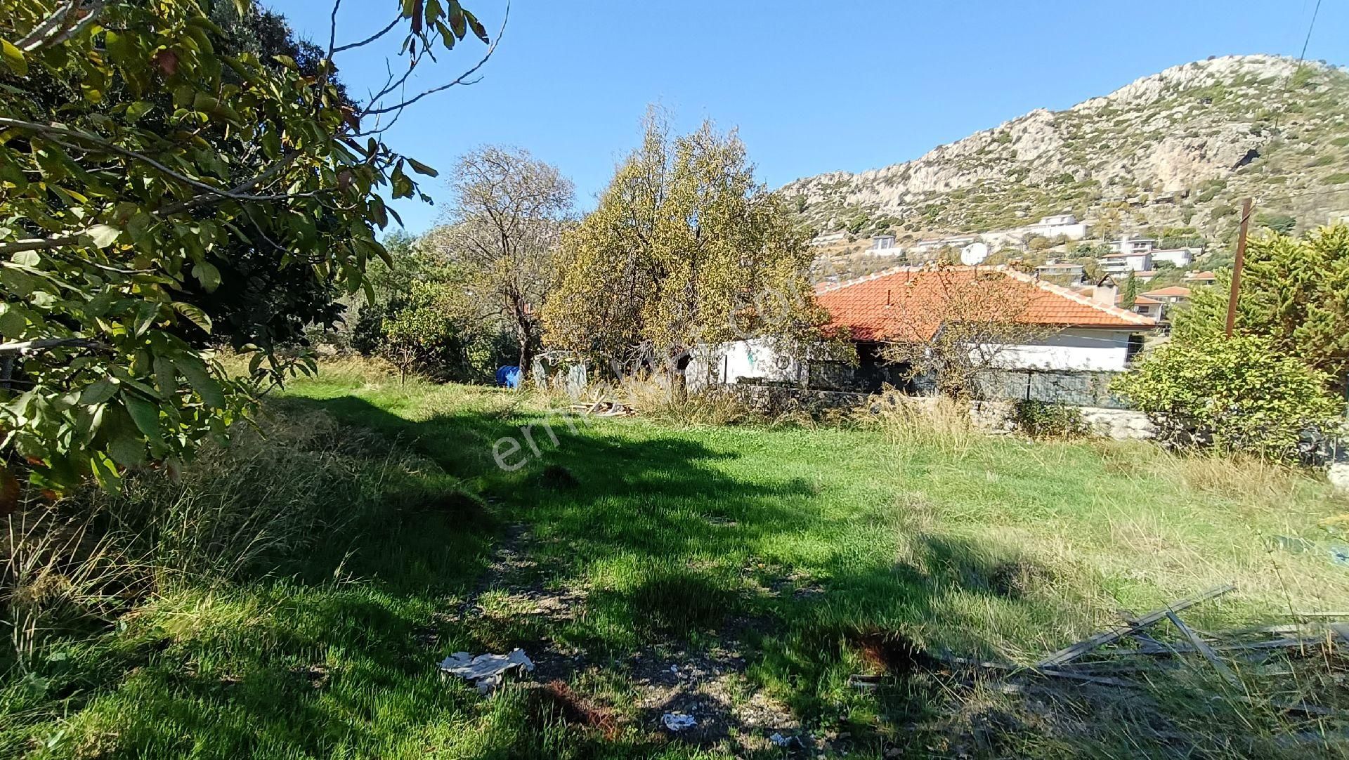 Joker: Söğüt Kırsal Yerleşik Alanda Sahile 1 Dakika - Görsel 15