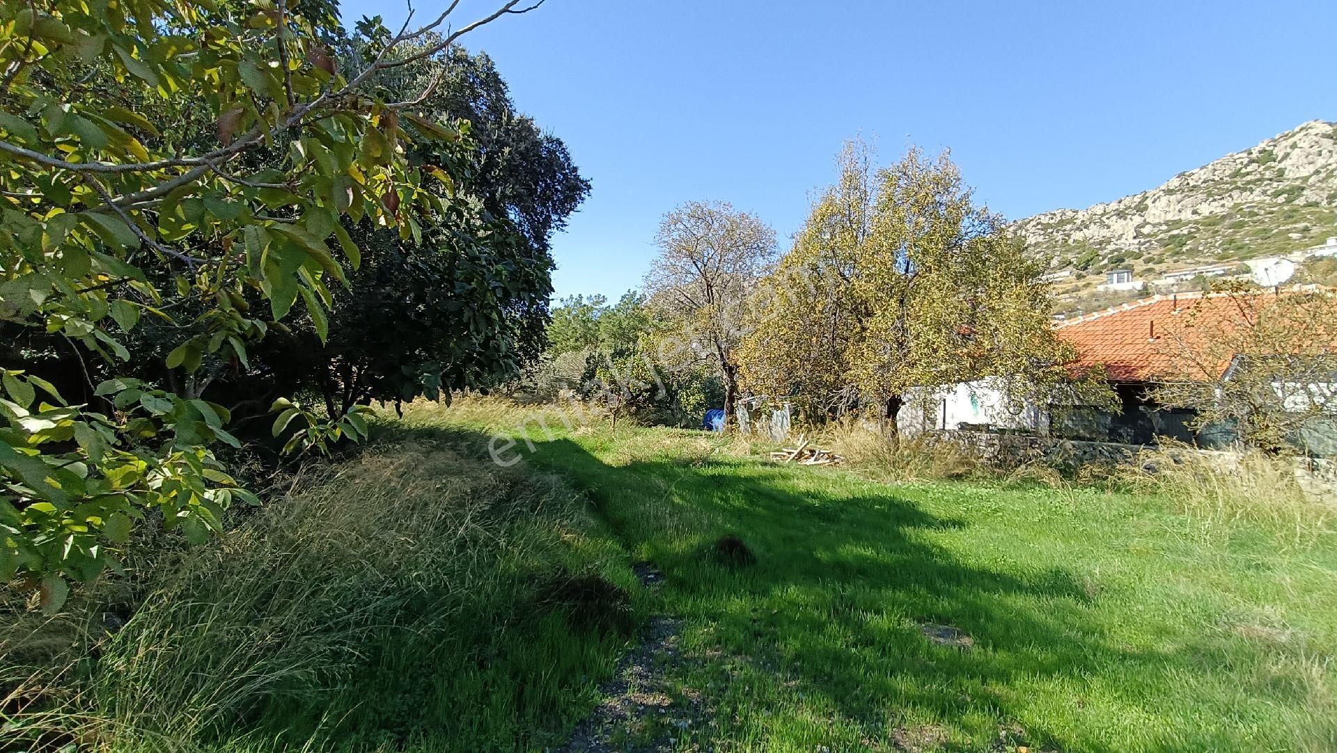 Joker: Söğüt Kırsal Yerleşik Alanda Sahile 1 Dakika - Görsel 13