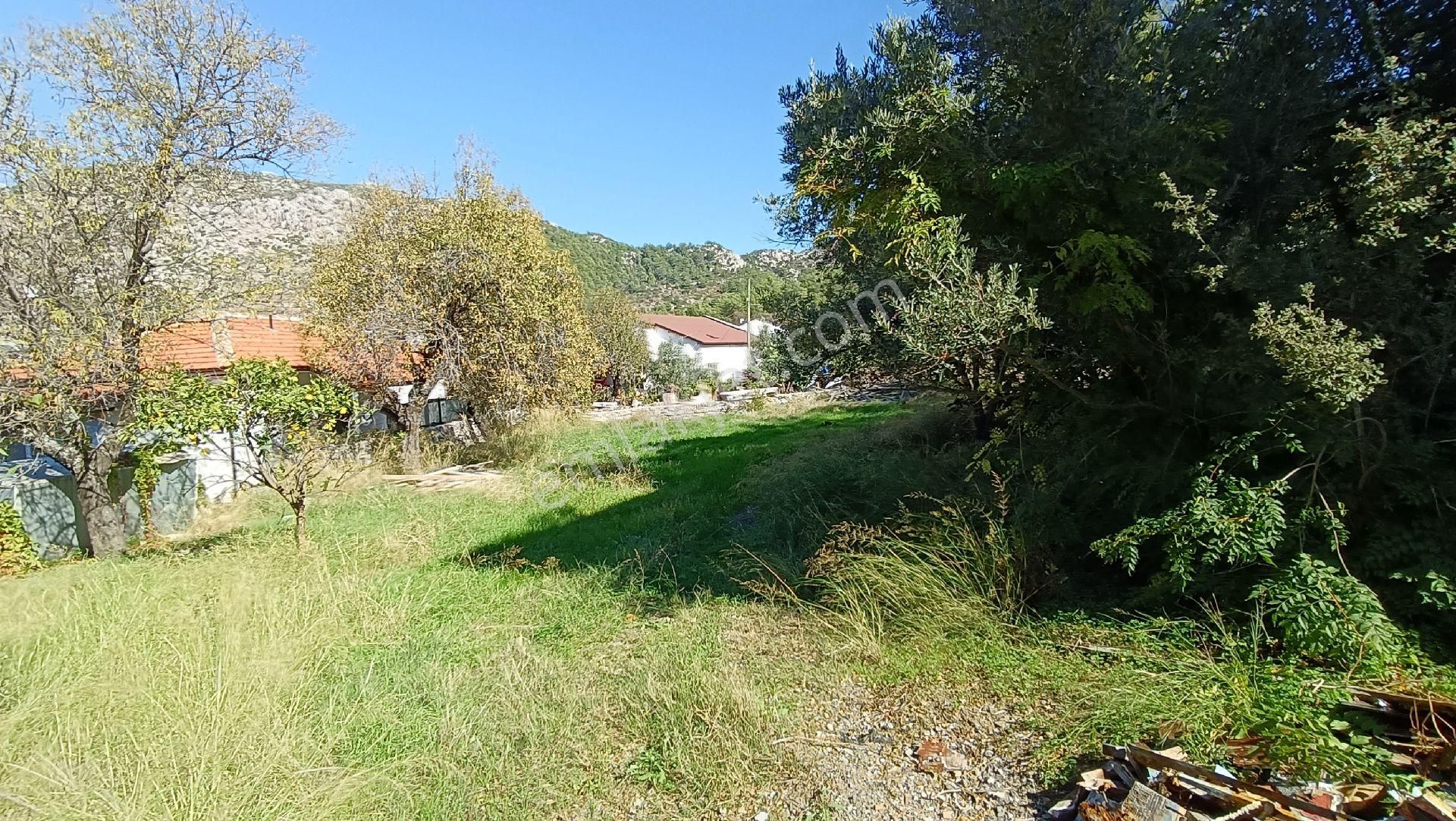 Joker: Söğüt Kırsal Yerleşik Alanda Sahile 1 Dakika - Görsel 7